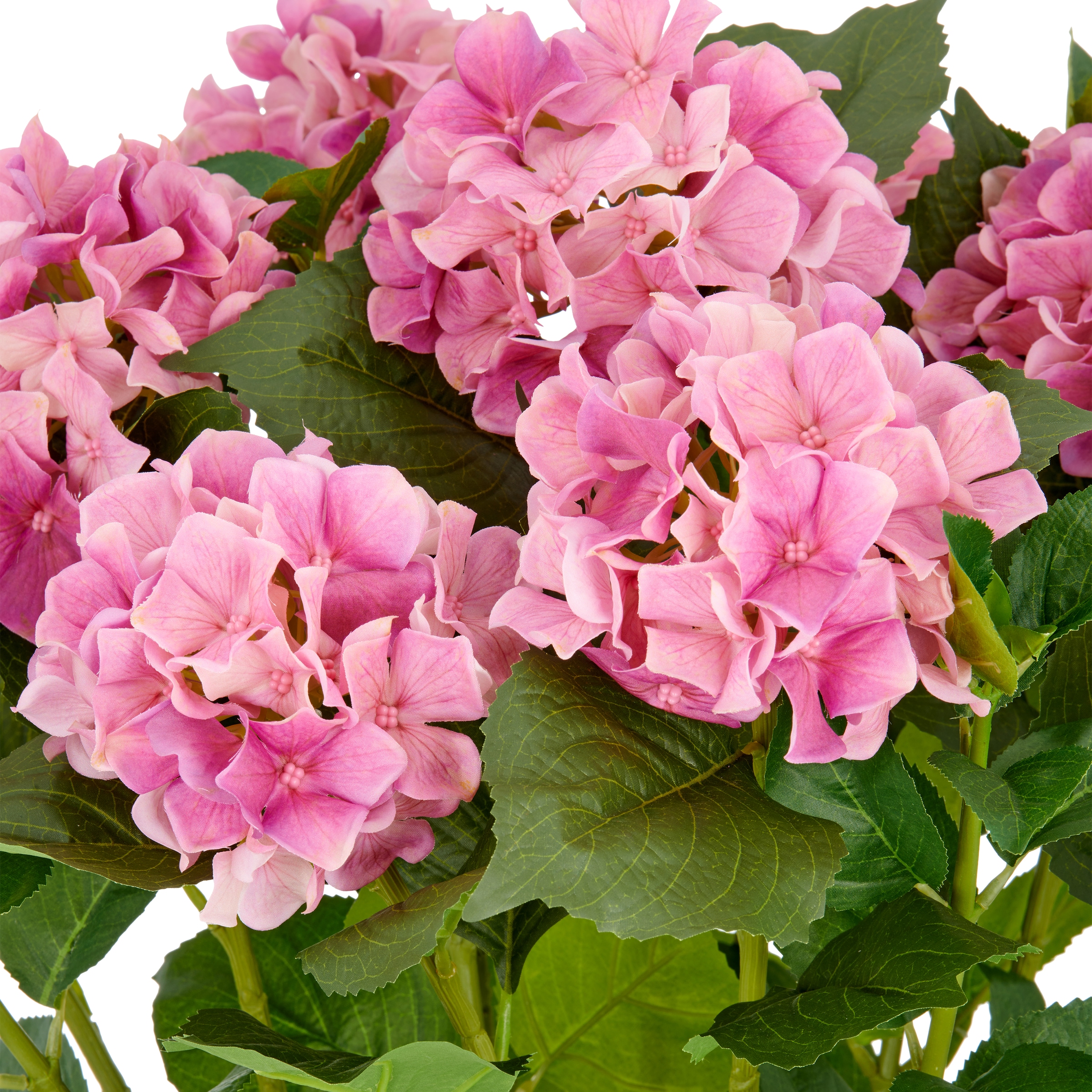 Creativ green Kunstpflanze »Hortensie« im eleganten Topf