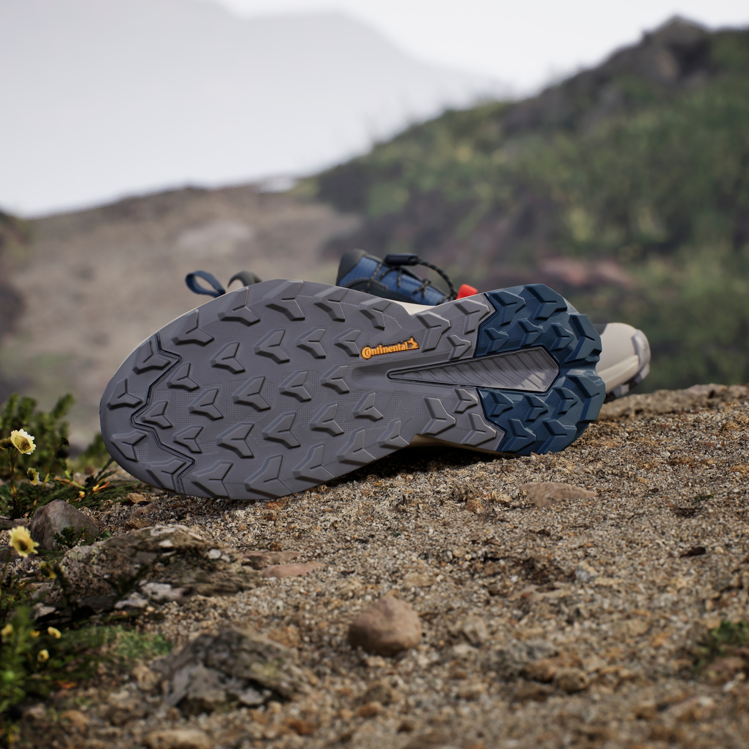 adidas TERREX Wanderschuh »TERREX TRAILMAKER 2 GORE-TEX SPEED LACE«