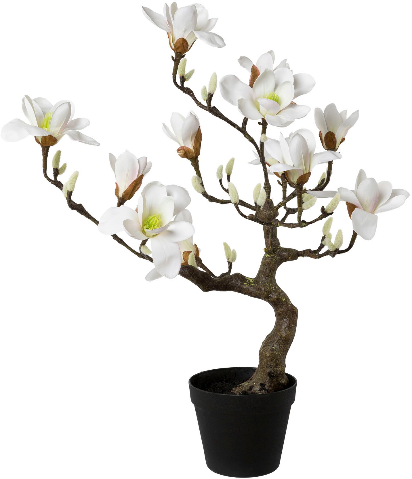 Creativ green Kunstpflanze »Magnolienbaum«, im Kunststofftopf