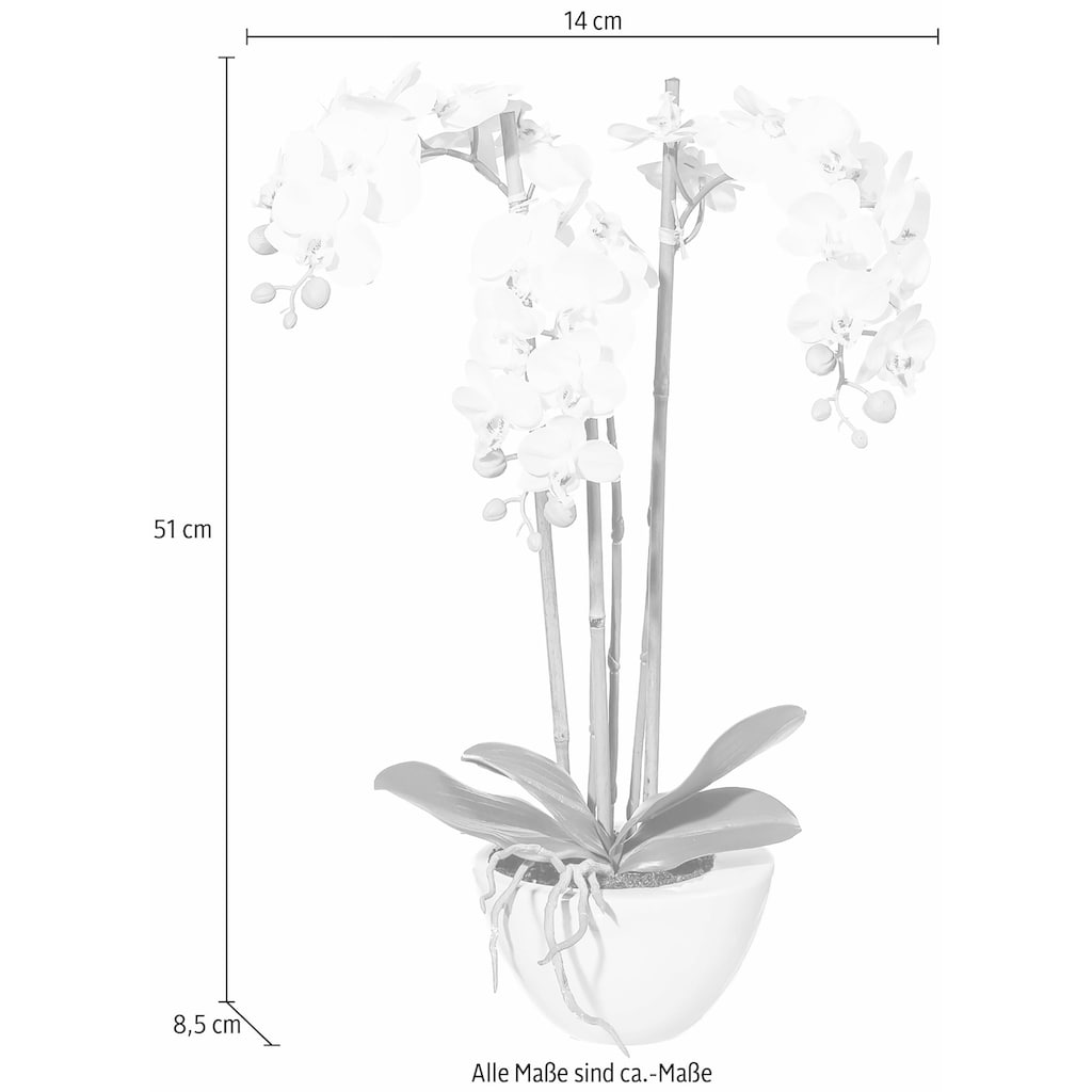 Creativ green Kunstpflanze »Mini Orchidee«, (1 St.)