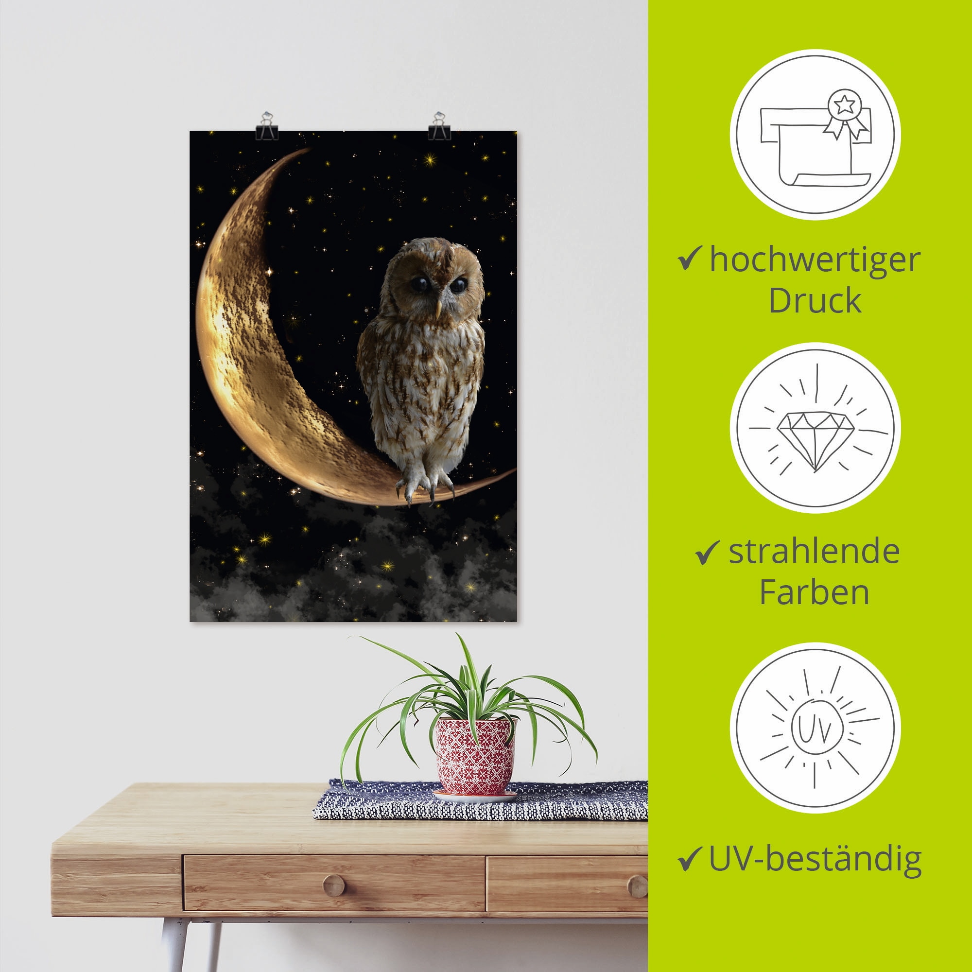 Artland Wandbild »Nachteule« Vögel 1 Stk. tlg. als Alubild, Leinwandbild, Poster in verschied. Größen