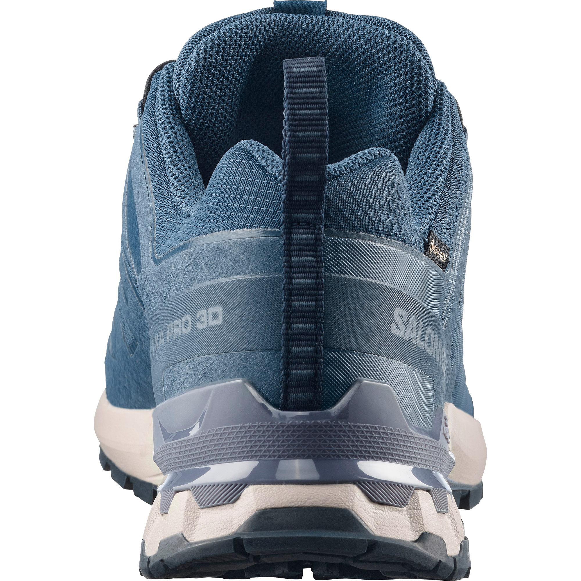 Salomon Trailrunningschuh »XA PRO 3D V9 GORE-TEX«  wasserdicht