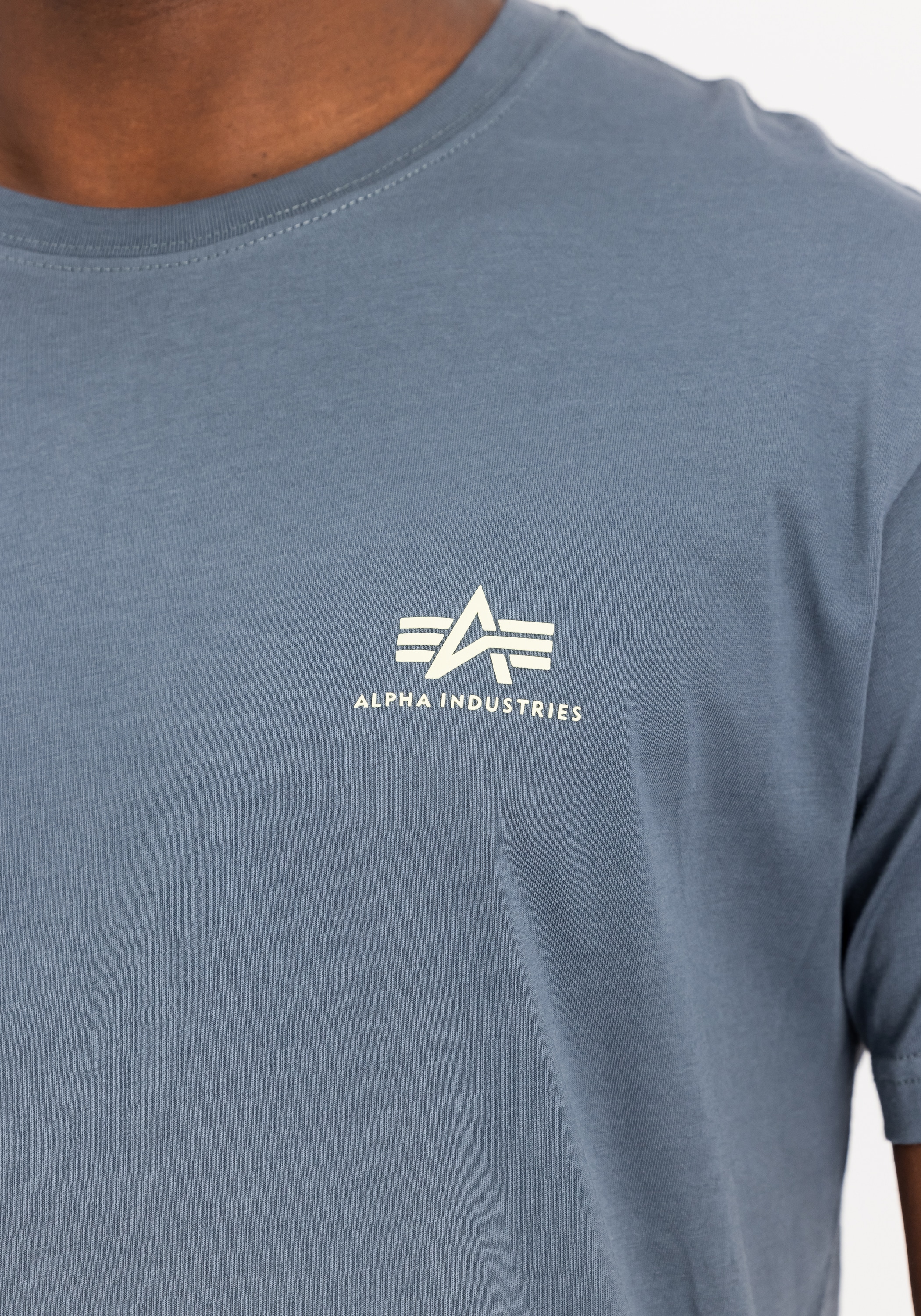 Alpha Industries T-Shirt »Backprint T-Shirt T-Shirt«