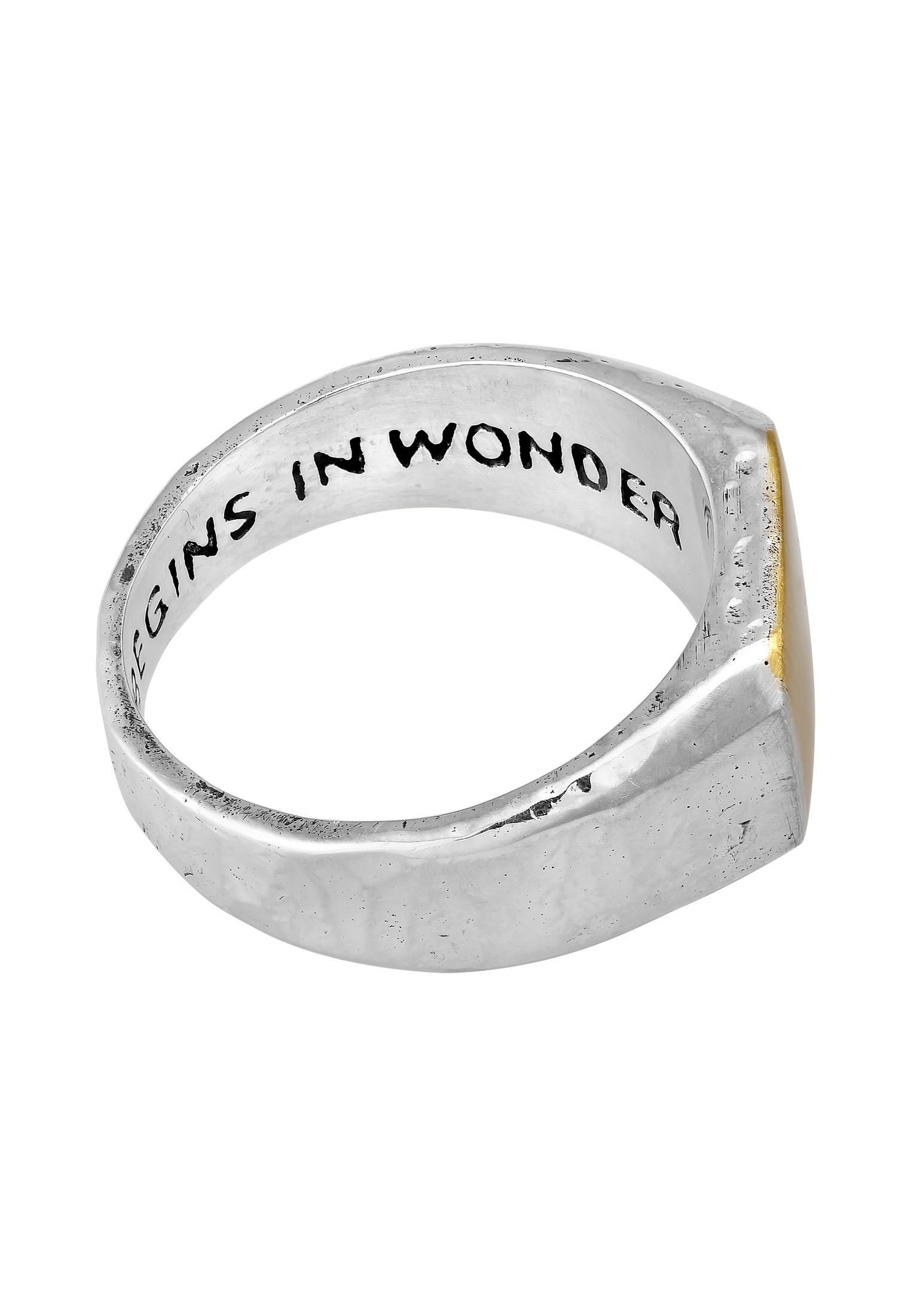 HAZE & GLORY Siegelring »Ring Siegelring - Wisdom 925 Sterling Silber«