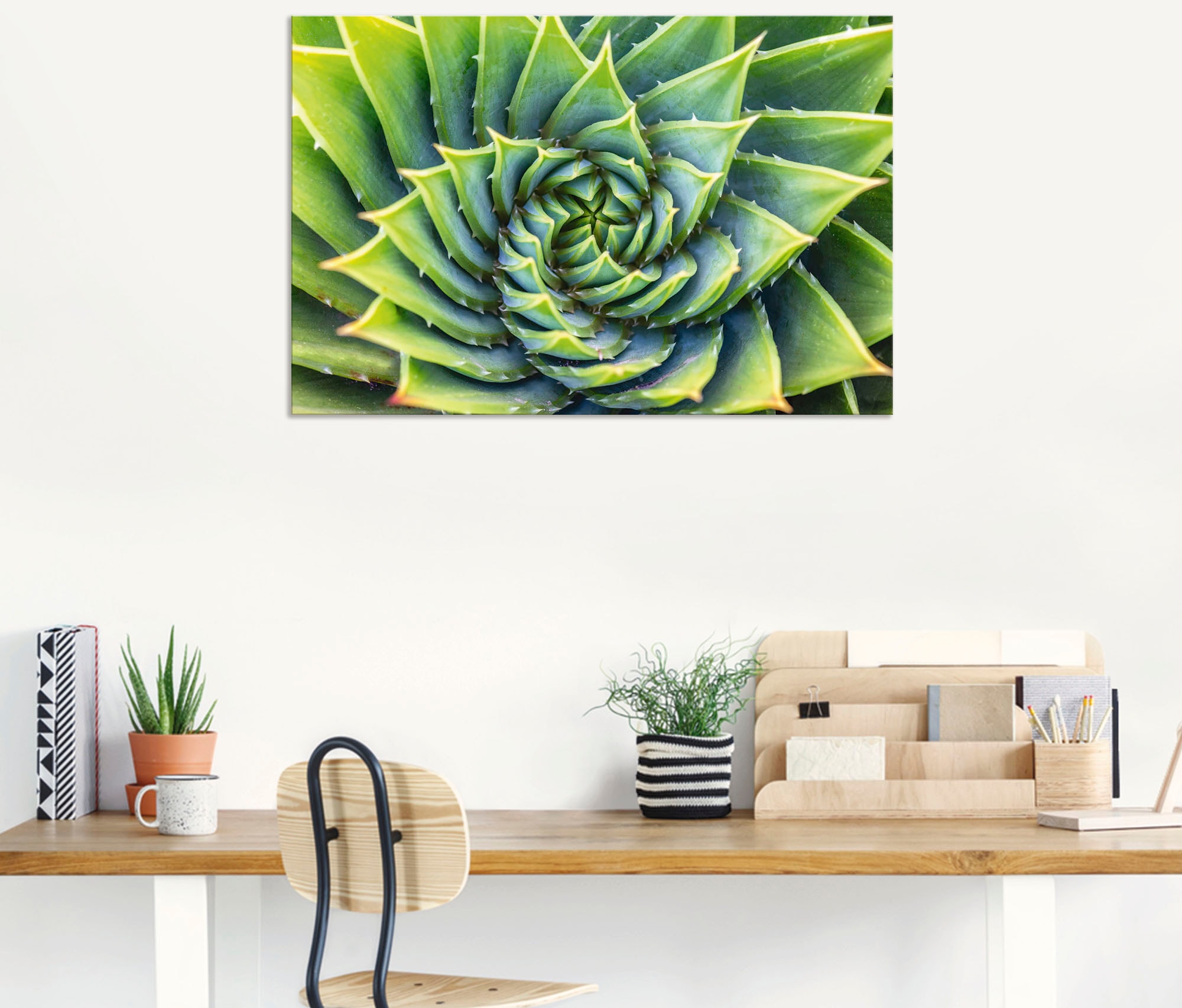 Artland Wandbild »Grüne Spirale«, Pflanzenbilder, (1 St.), als Alubild, Leinwandbild, Wandaufkleber oder Poster in versch. Größen