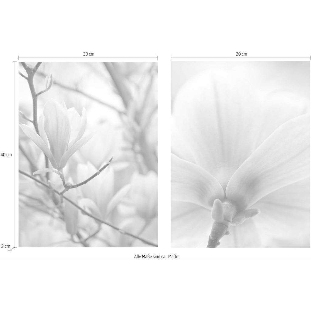 Creativ home Bild »Magnolien«, (Set, 2 St.)