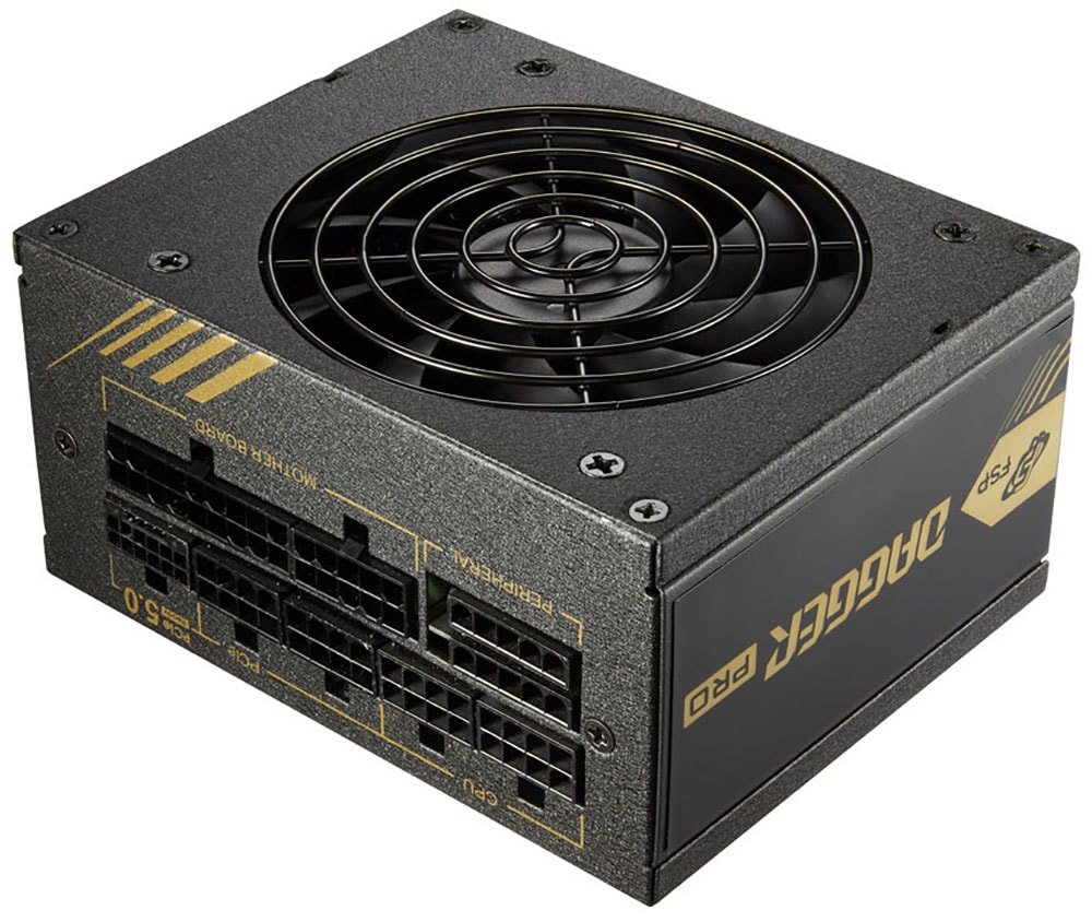 Fortron Netzteil »DAGGER PRO ATX3.0 850W«