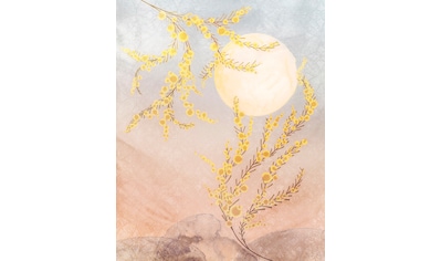 Komar Fototapete »Sol«, Wald-floral, Größe: 200 x 250 cm (Breite x Höhe), Deutsches... kaufen