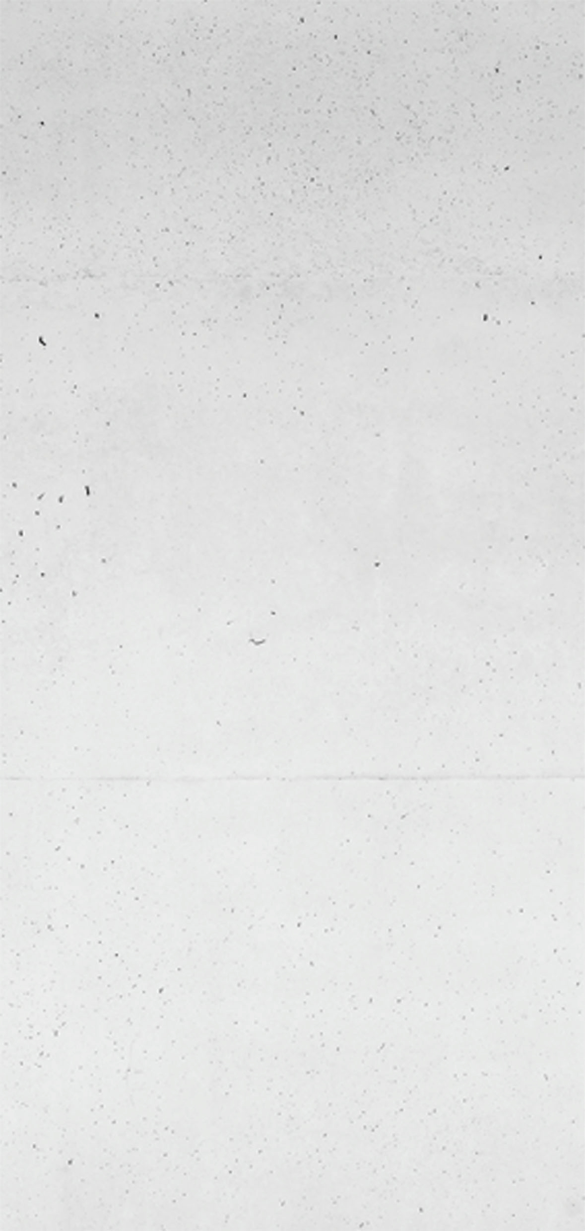 Duschrückwand »Sanowall«, Höhe: 205 cm
