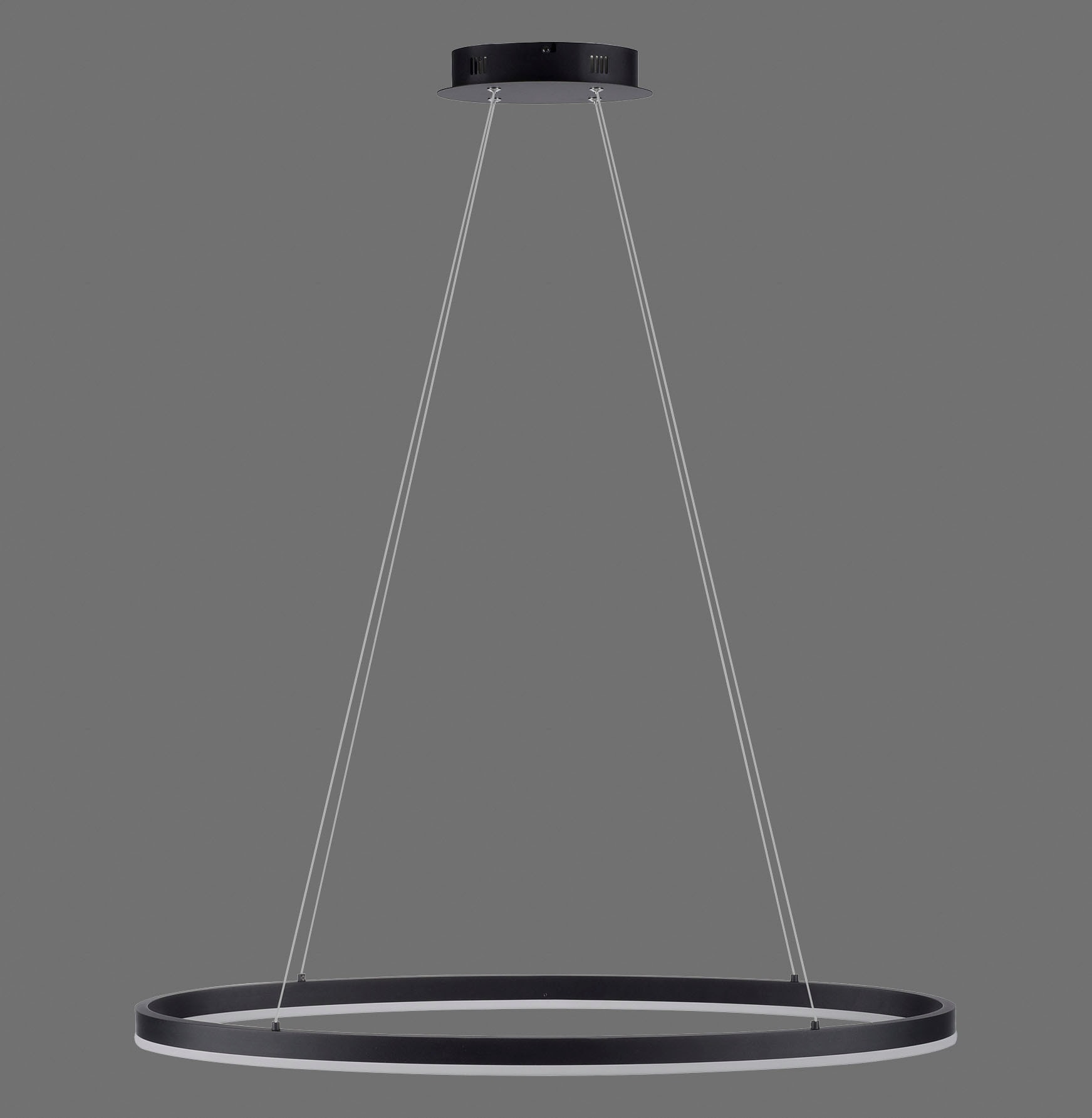 Paul Neuhaus Pendelleuchte »TITUS«, 1 flammig, Leuchtmittel LED-Board | LED fest integriert, LED, dimmbar, Simply Dim, Memory, nach Trennung vom Netz