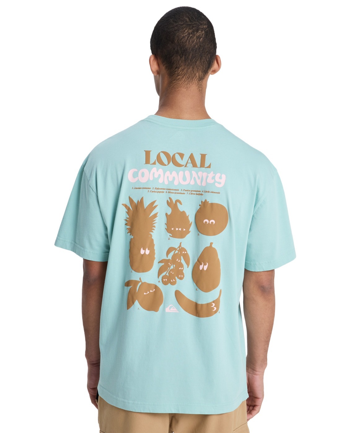 Quiksilver T-Shirt »Fruits Tide«