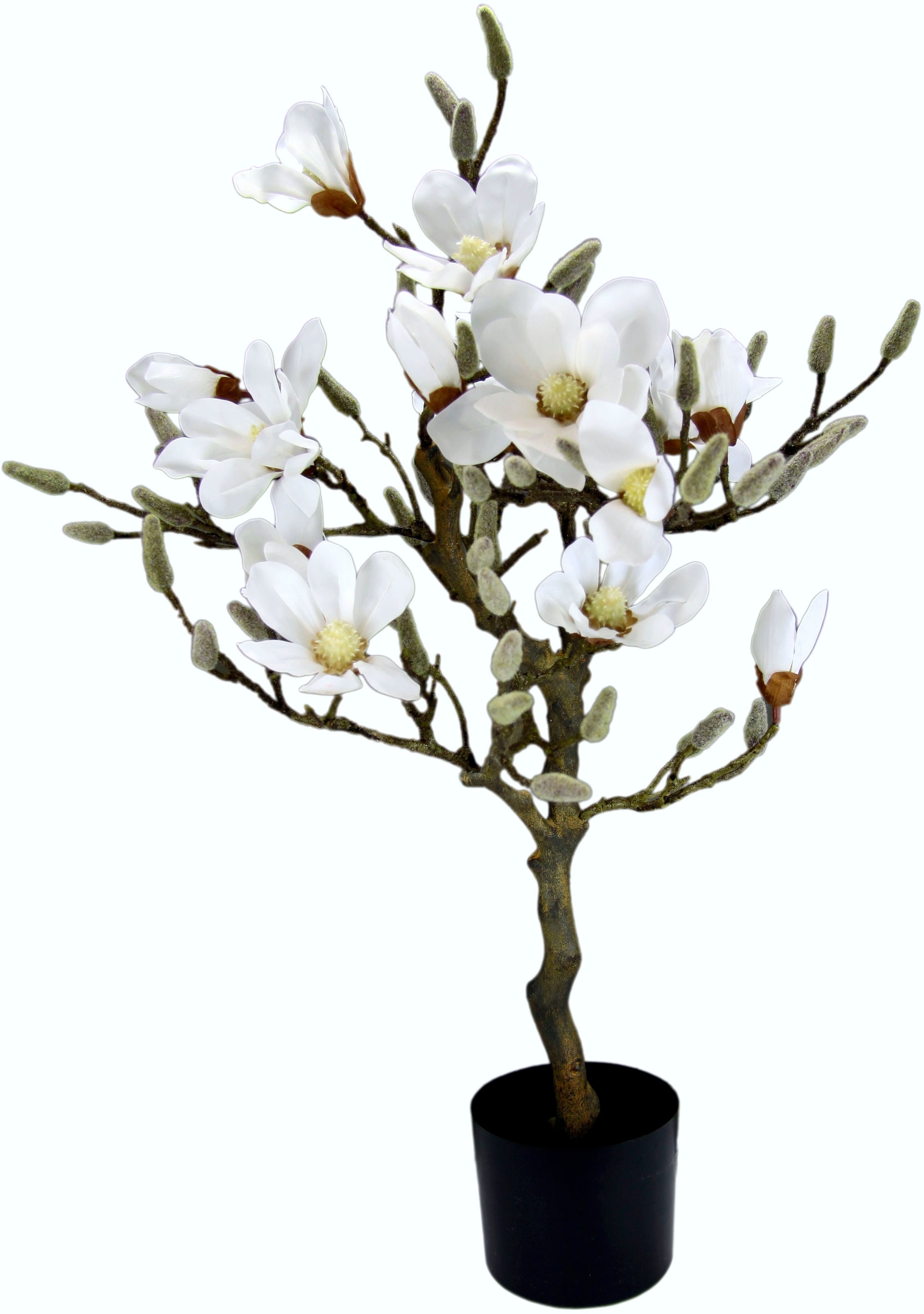 Kunststofftopf »Magnolienbaum«, I.GE.A. OTTO Kunstbaum im bei