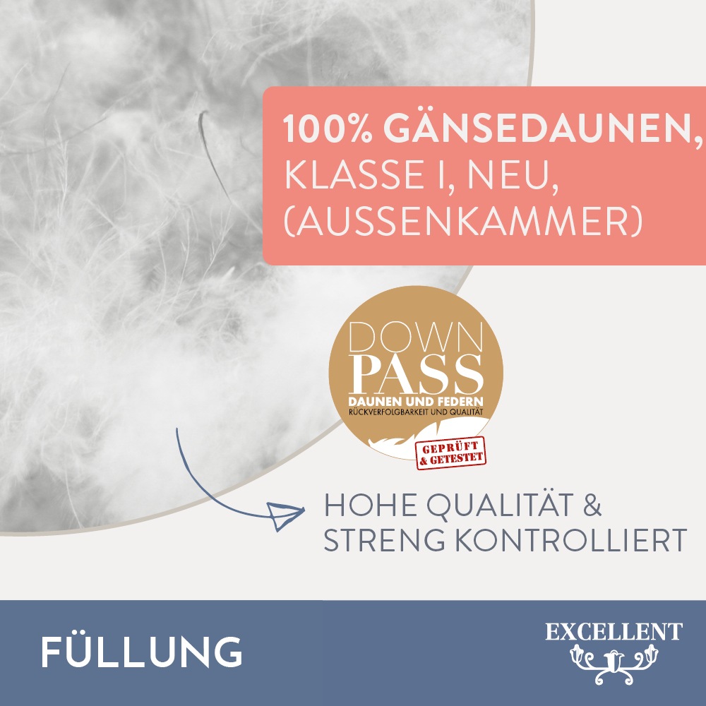 Excellent 3-Kammer-Kopfkissen »Davos«, (1 St.), mit 100% Gänsedaunen in den Außenkammern gefüllt