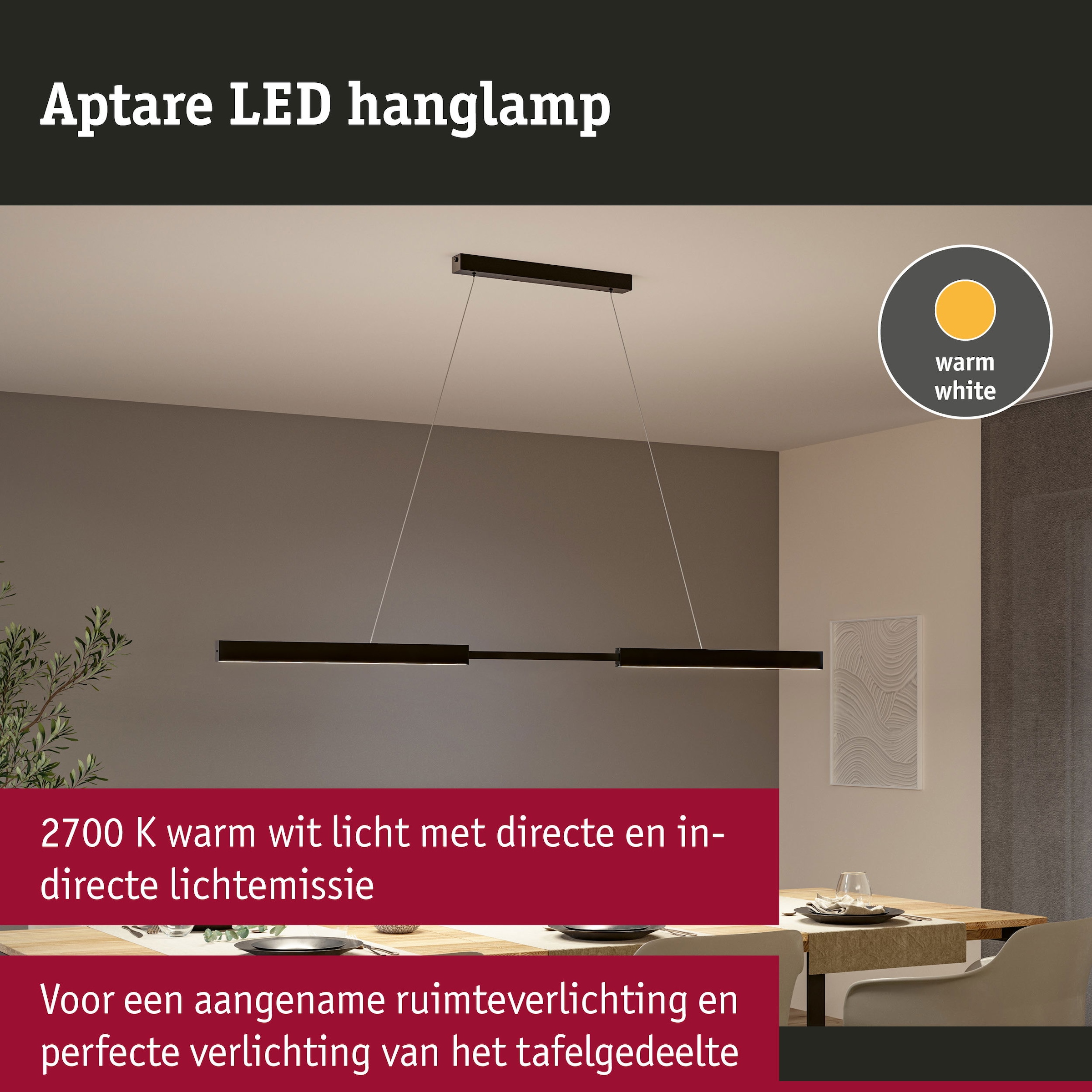 Paulmann LED Pendelleuchte »LED Pendelleuchte Aptare dimmbar« 1 Stk. Warmweiß Memoryfunktion