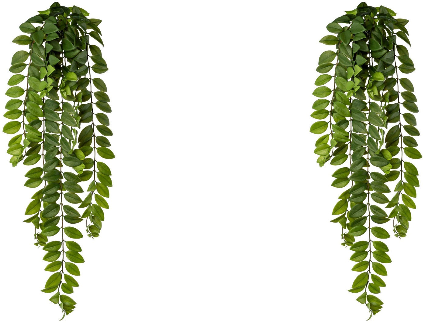 Creativ green Kunstranke »Columnearanke«
