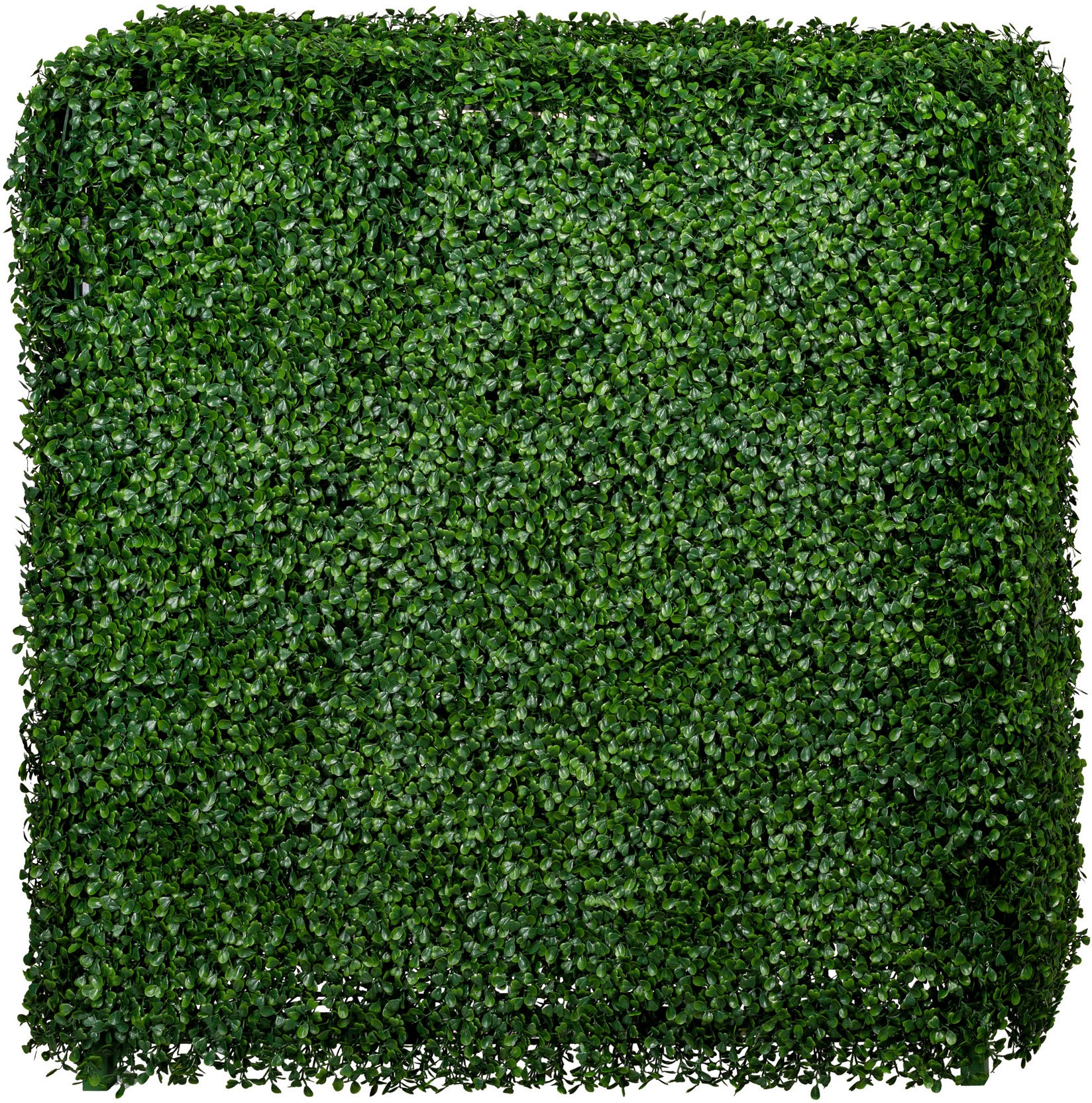 Creativ green Kunstpflanze »Buchsbaumhecke«, (1 St.)
