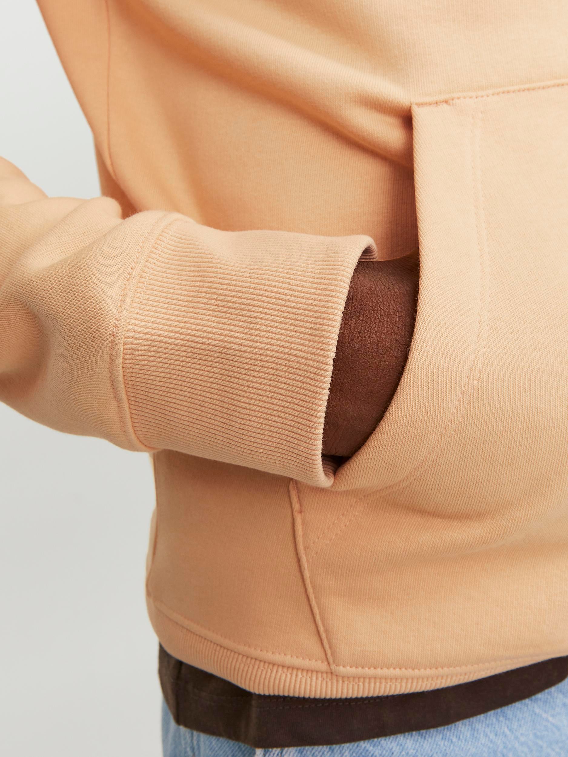 Jack & Jones Kapuzensweatshirt »JJESTAR BASIC SWEAT HOOD NOOS«, mit Rippbündchen