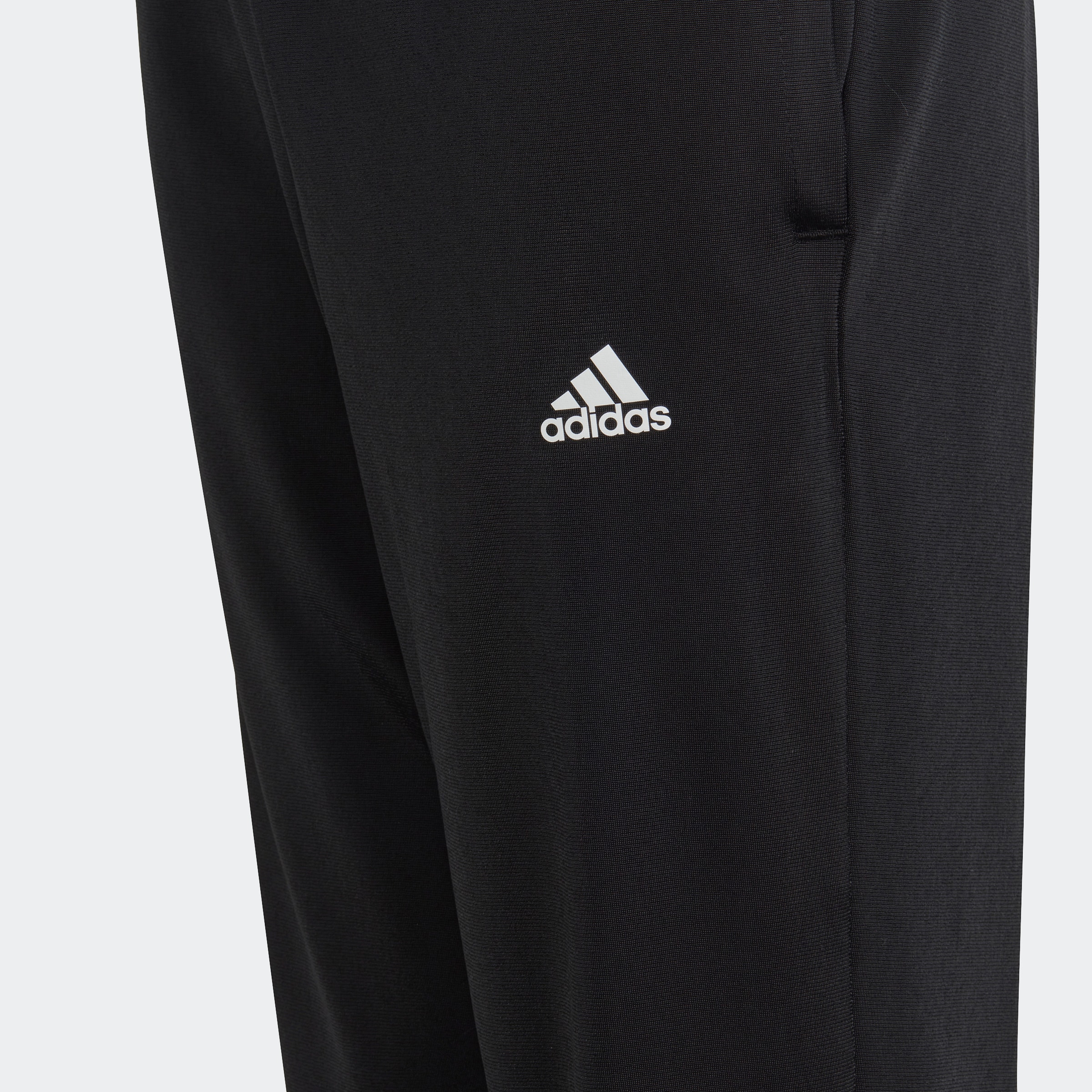 adidas Sportswear Trainingsanzug »ESSENTIALS BIG LOGO«, (2 tlg.) bestellen  bei OTTO