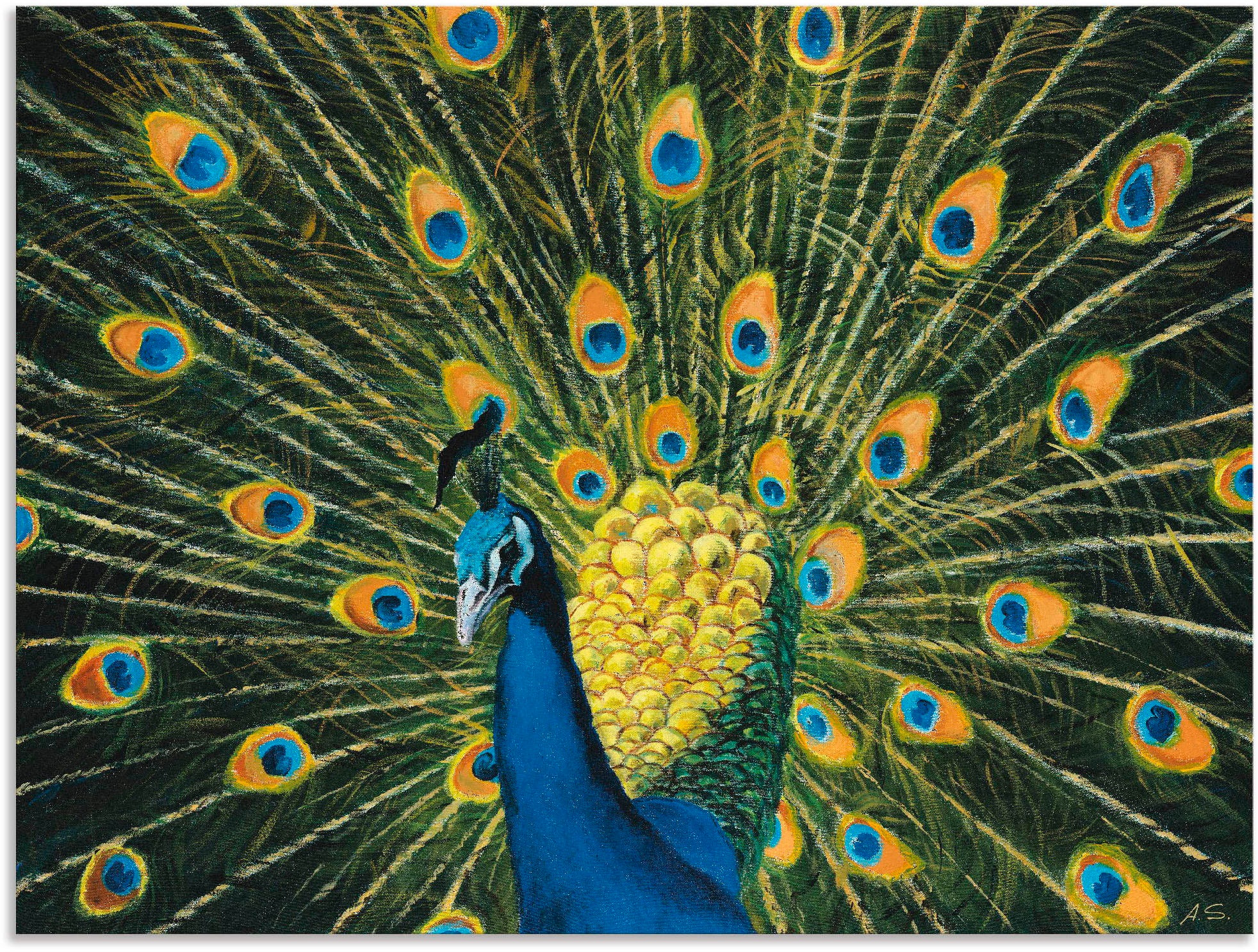 Artland Wandbild »Pfau«, Alubild, oder Wandaufkleber Online St.), Poster Vögel, als (1 Größen versch. im Shop OTTO in Leinwandbild