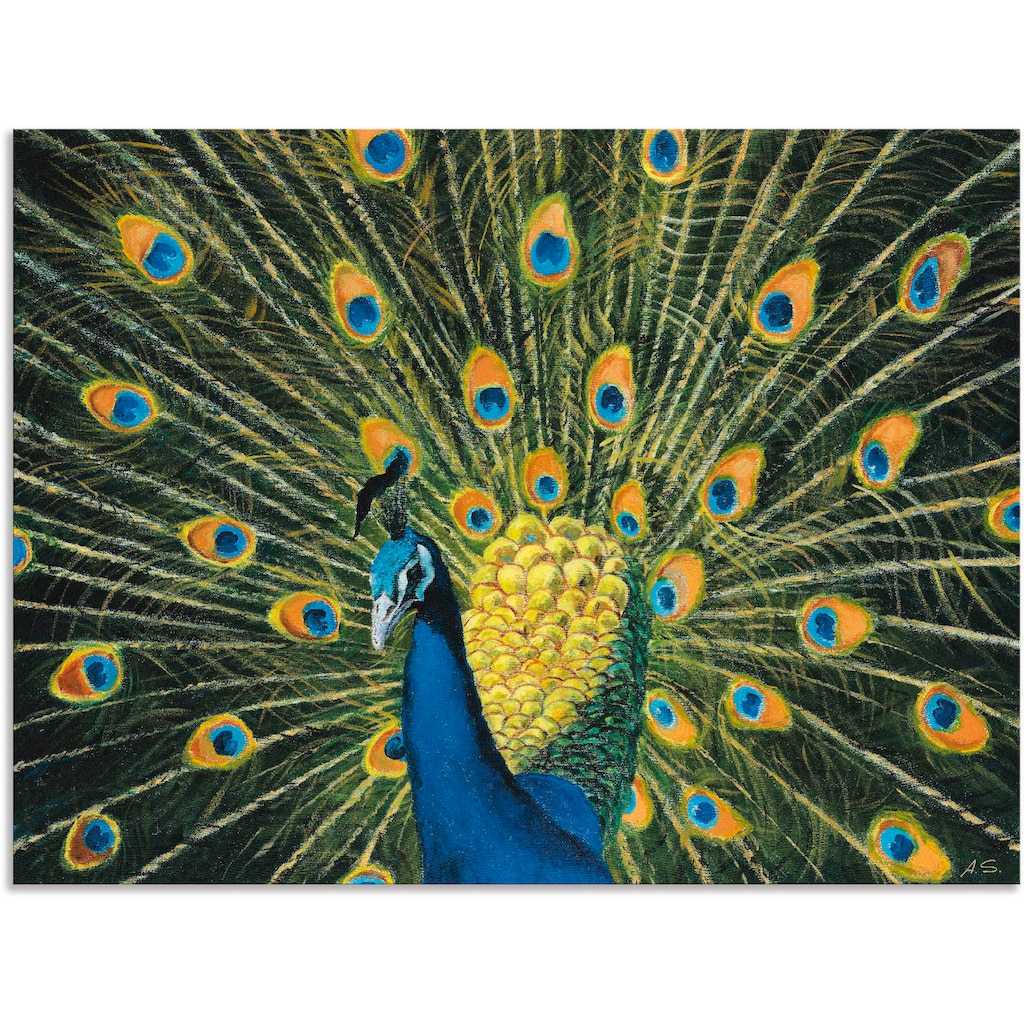 Artland Wandbild »Pfau«, Vögel, (1 St.)