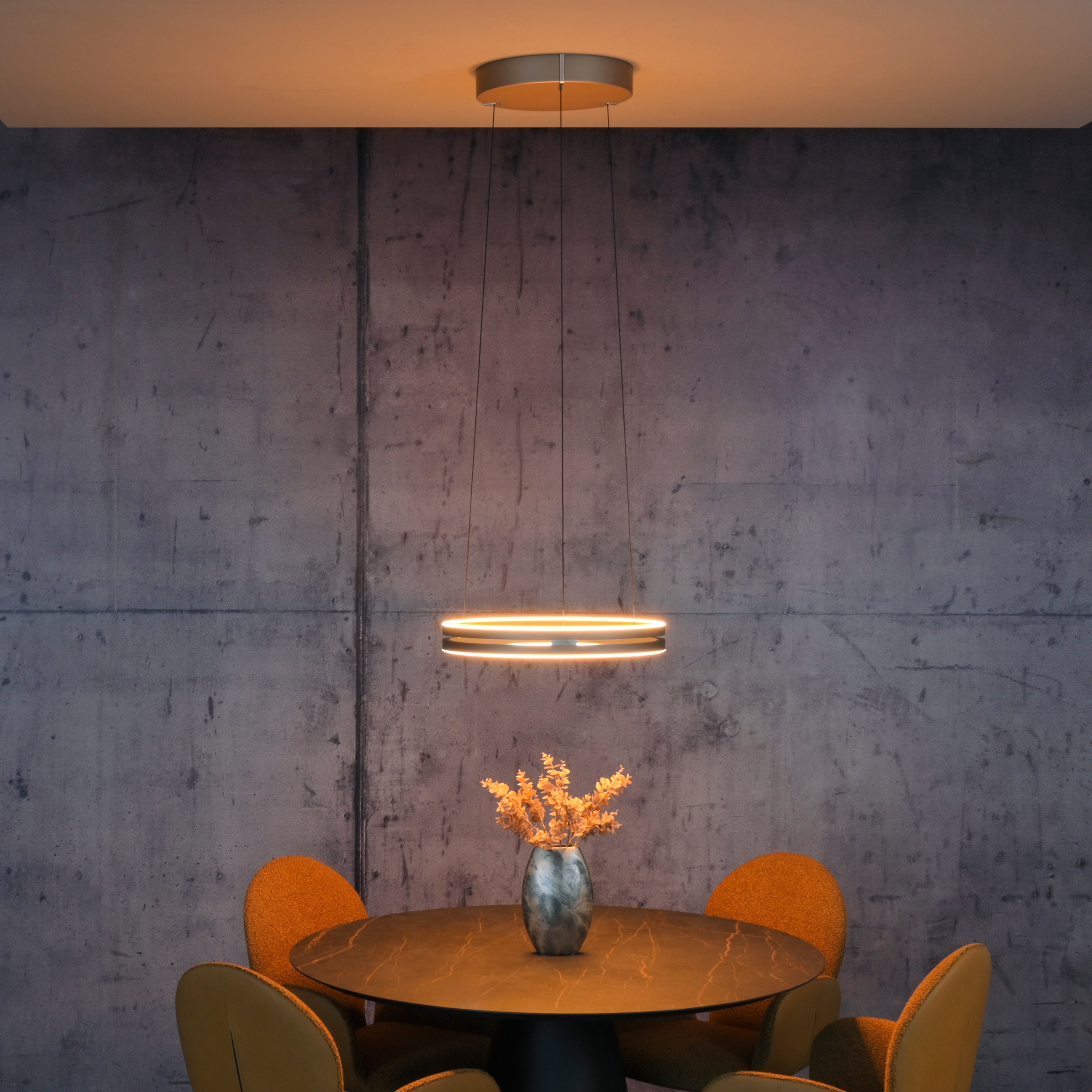 Neuhaus PURE LED Pendelleuchte »PURE E-Loop« LED-Board 1 Stk. warmweiß - kaltweiß e-LIFT® Funktion, CCT, dimmbar über Fernbedienung