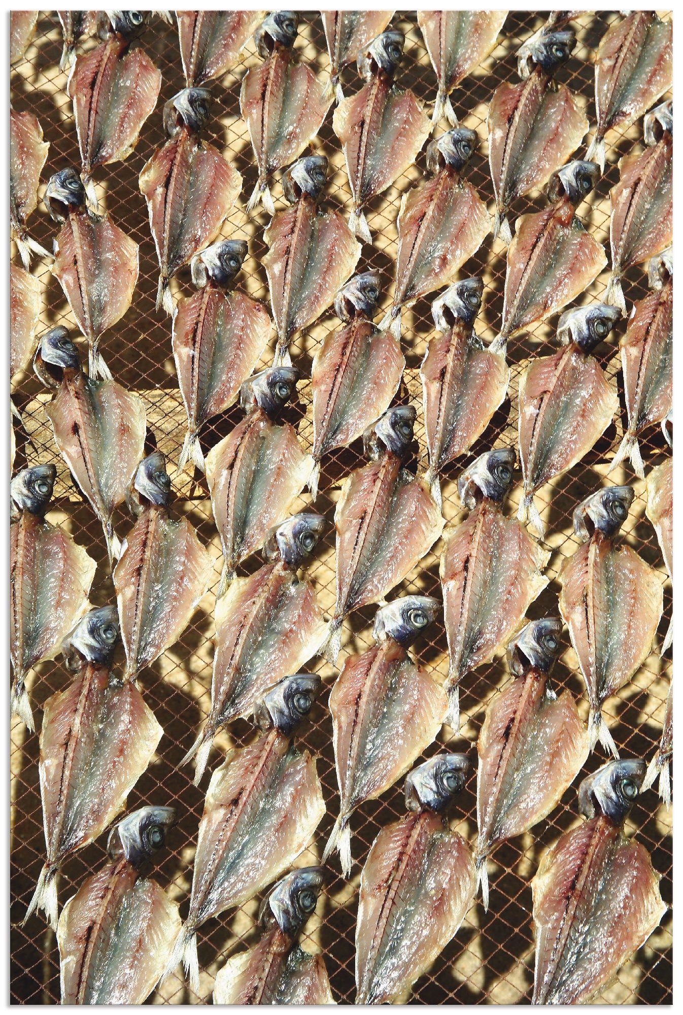 Artland Wandbild »Sonnen getrocknete Fische Poster Portugal«, in Größen als oder Meeresfrüchte, St.), Alubild, versch. bei (1 & in Leinwandbild, Fisch OTTO Wandaufkleber