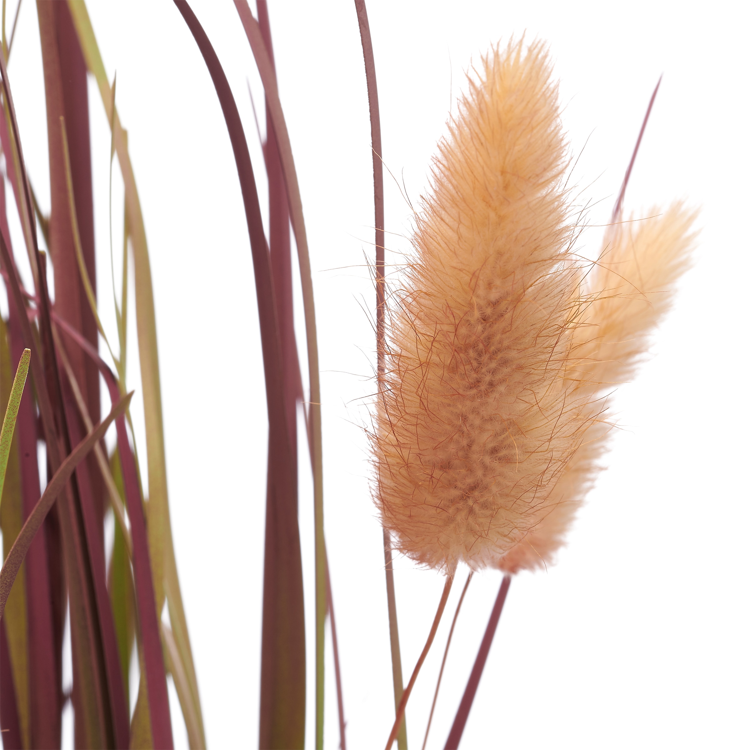 Creativ green Kunstgras »Grasbusch Lagurus« mit zarten Blüten