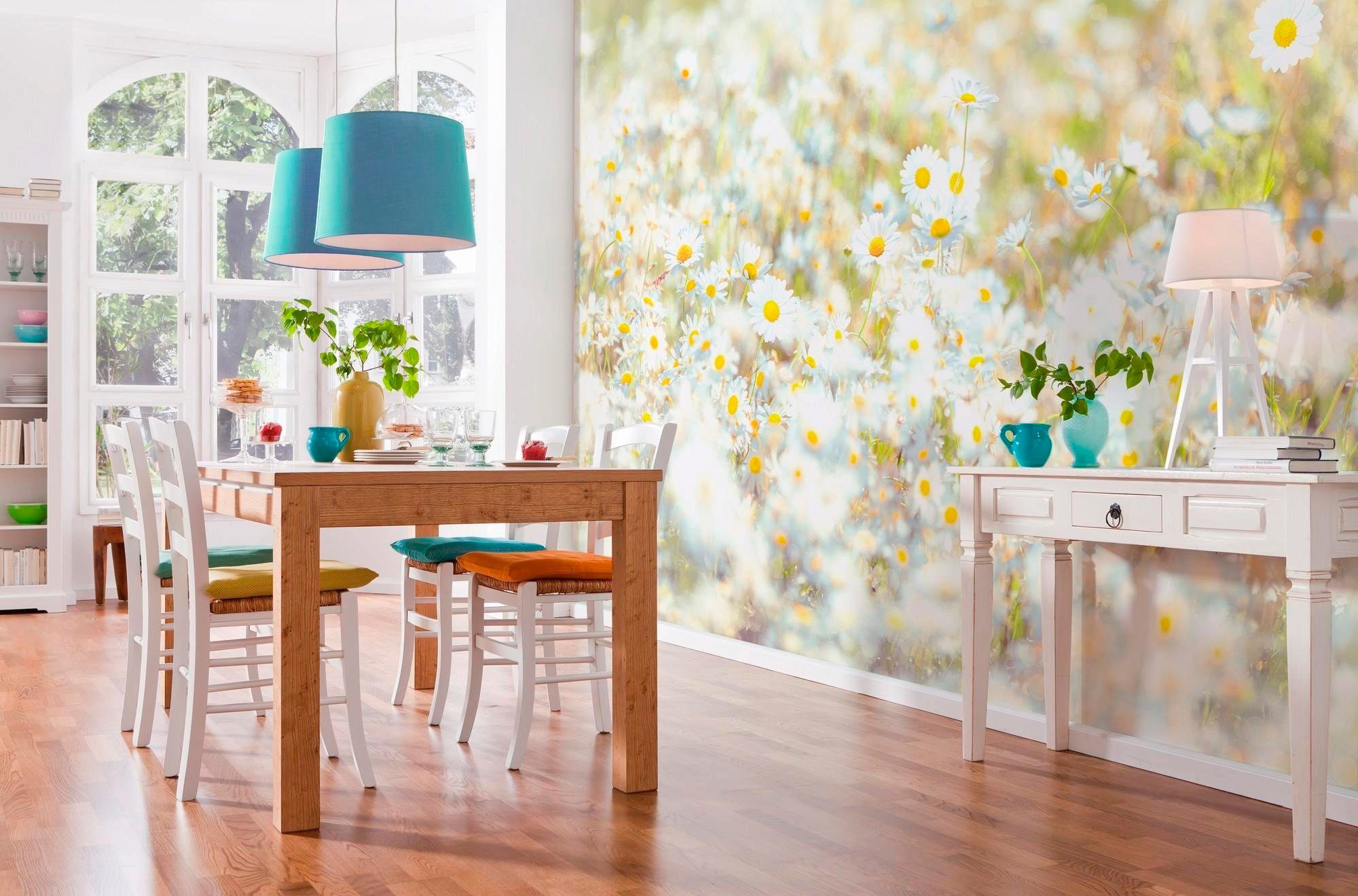Komar Fototapete »Daisies - Größe 368 x 254 cm« bedruckt glatt Wohnzimmer, Schlafzimmer