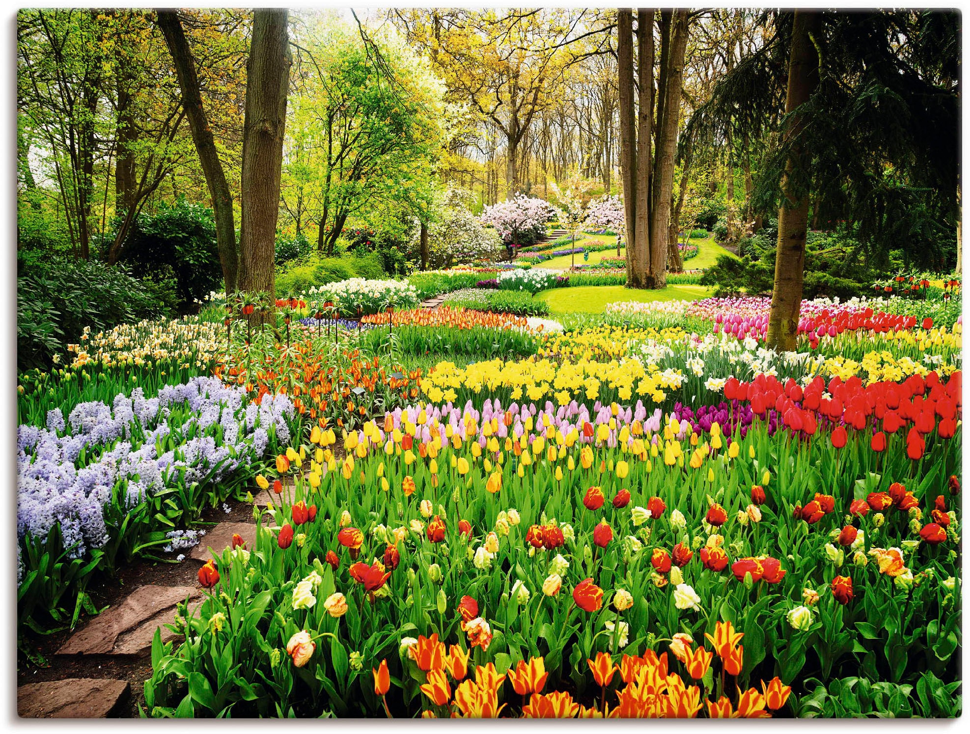Garten kaufen Artland als Frühling«, Wandaufkleber bei Alubild, oder in Blumenwiese, (1 versch. Poster Größen Leinwandbild, Wandbild St.), »Tulpen OTTO