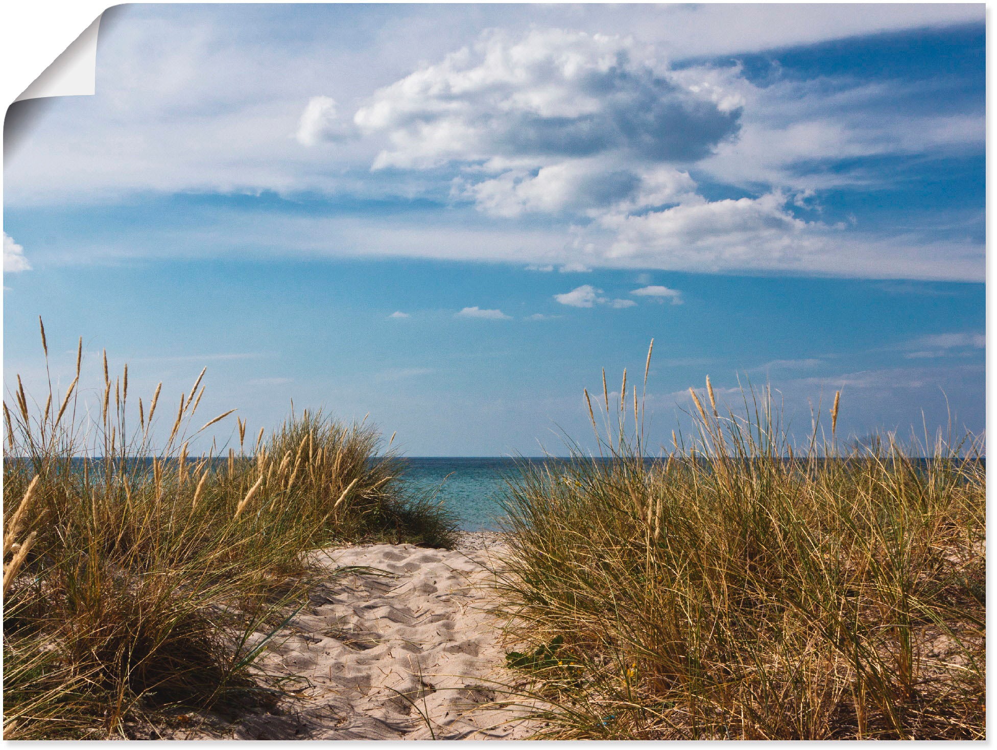 Artland Wandbild »Ostseestrand in Dänemark«, Strand, (1 St.), als Alubild,  Leinwandbild, Wandaufkleber oder Poster in versch. Größen kaufen im OTTO  Online Shop