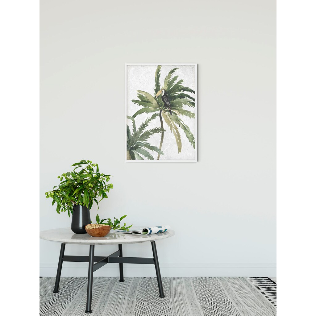 Komar Poster »Tropical Toucan«, (1 St.)