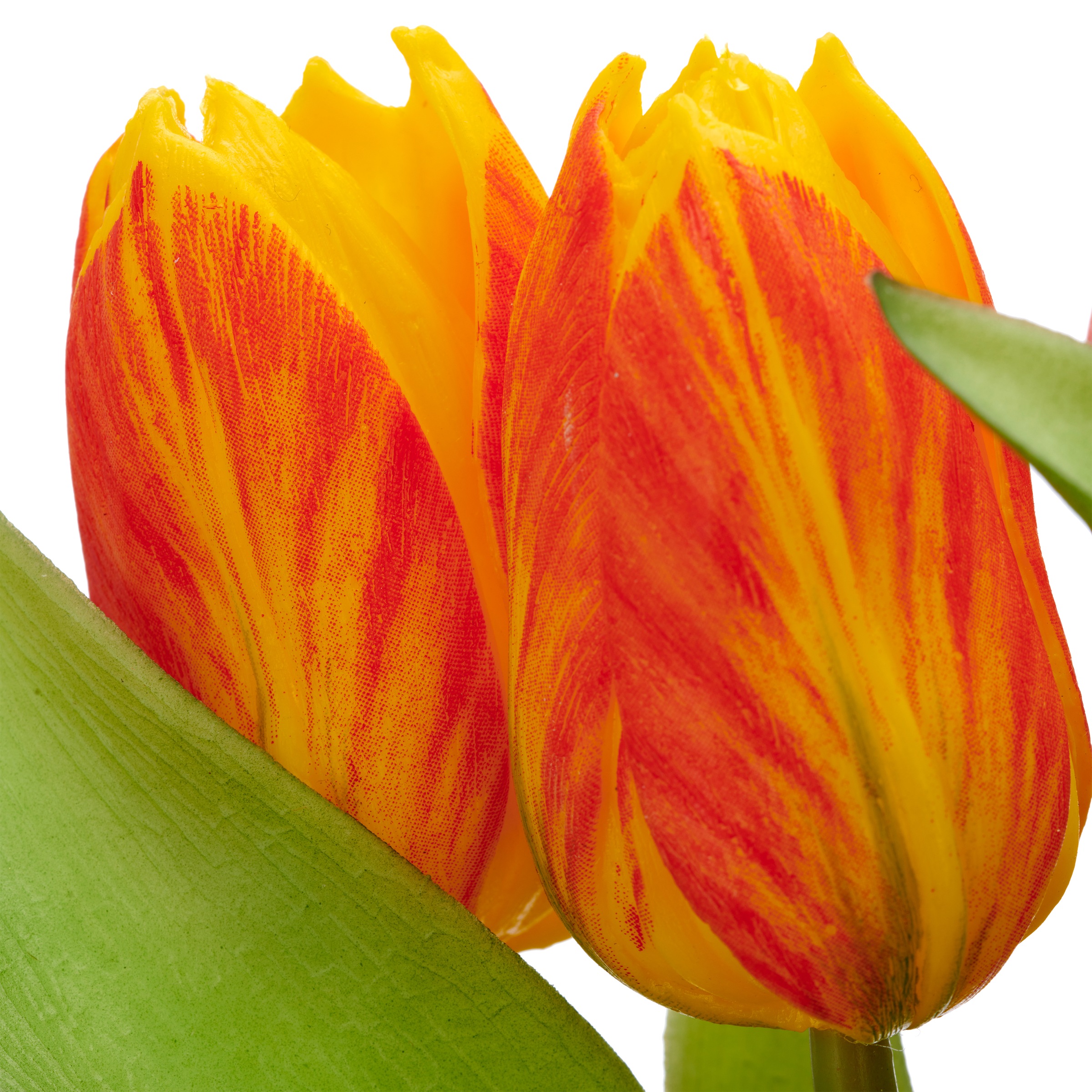 Creativ green Kunsttulpe »Tulpenbund« mit Zwiebeln