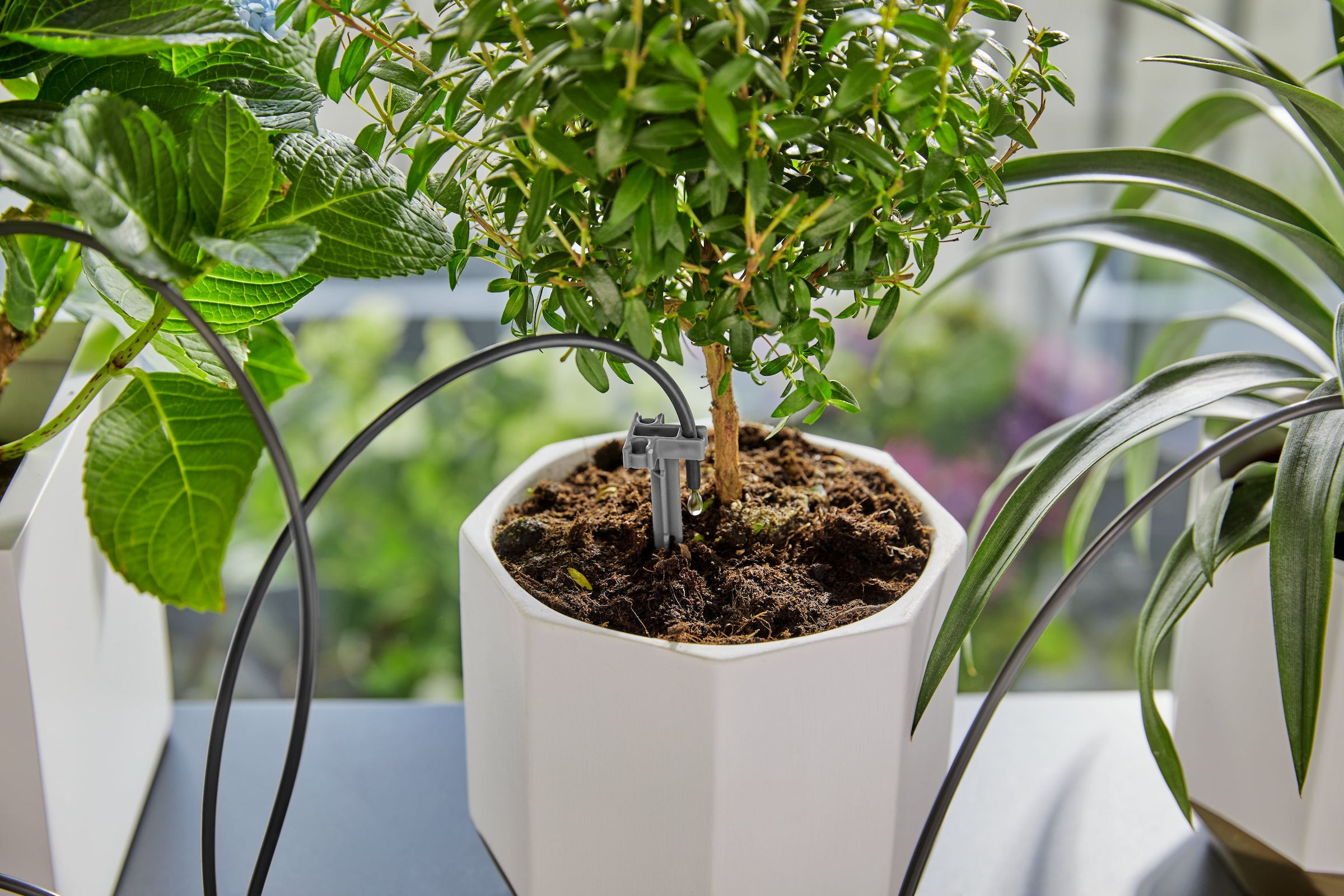 GARDENA Bewässerungssystem »Urlaubsbewässerung Set« ()  inkl. Wasserreservoir, für bis zu 36 Zimmerpflanzen