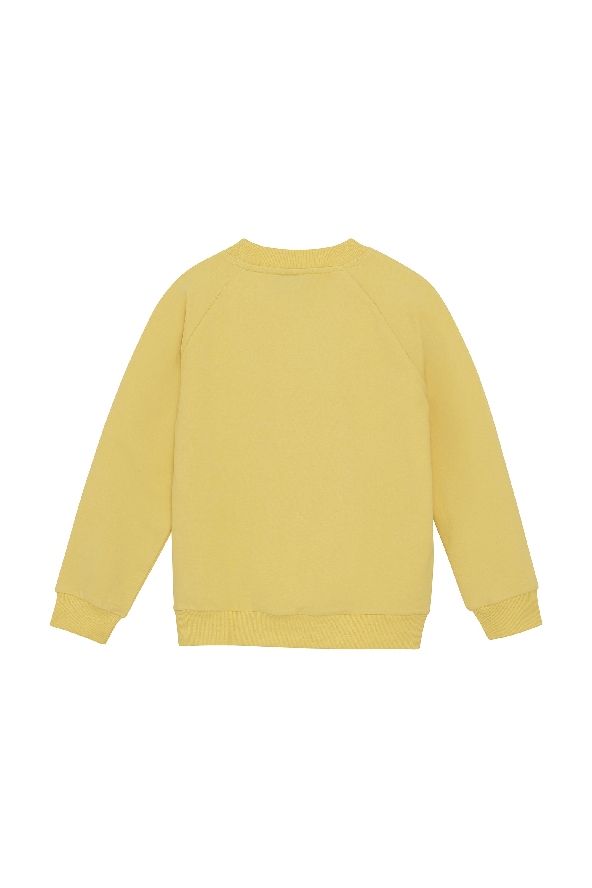 COLOR KIDS Sweater »Sweater COSweat W. JR. Logo Print«
