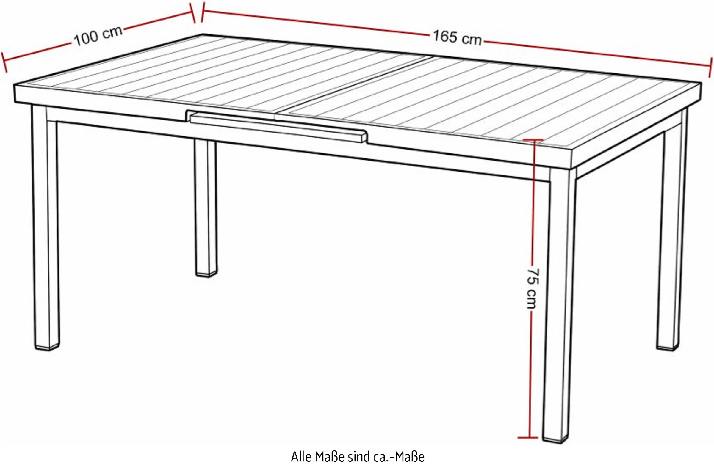 Destiny Garten-Essgruppe »MOLINO IMOLA«, (13 tlg., 4x Sessel, 1x Tisch, inkl. Auflagen), Aluminium, Polywood, Rope