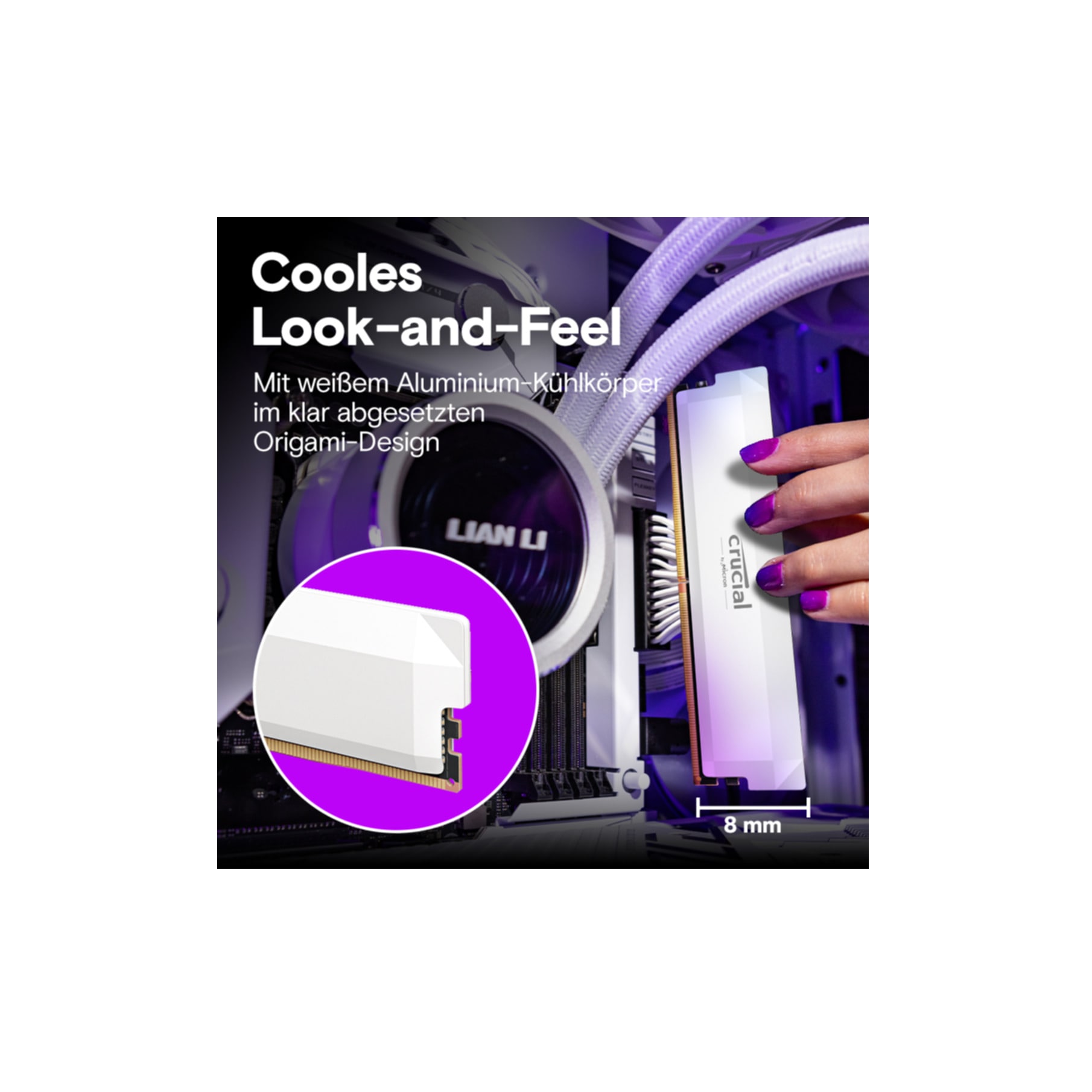 Crucial Arbeitsspeicher »CP2K32G60C40U5W«