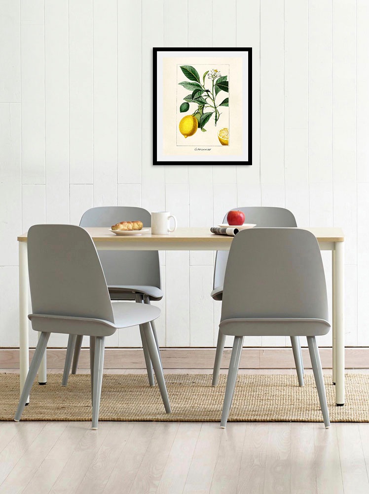 queence Bild »Citronnier«, Obst-Obst Bilder-Essen-Lebensmittel-Kunst-Schriftzug-Italien-Spanien, (1 St.), gerahmt