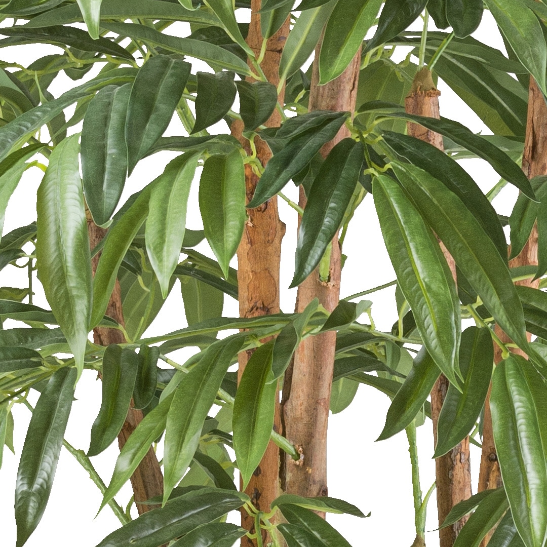 Creativ green Kunstpflanze »Ficus longifolia« mit Naturstamm
