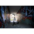 The-Urban E-Scooter »TheUrban #HMBRG (StVZO)«, 20 km/h, 30 km