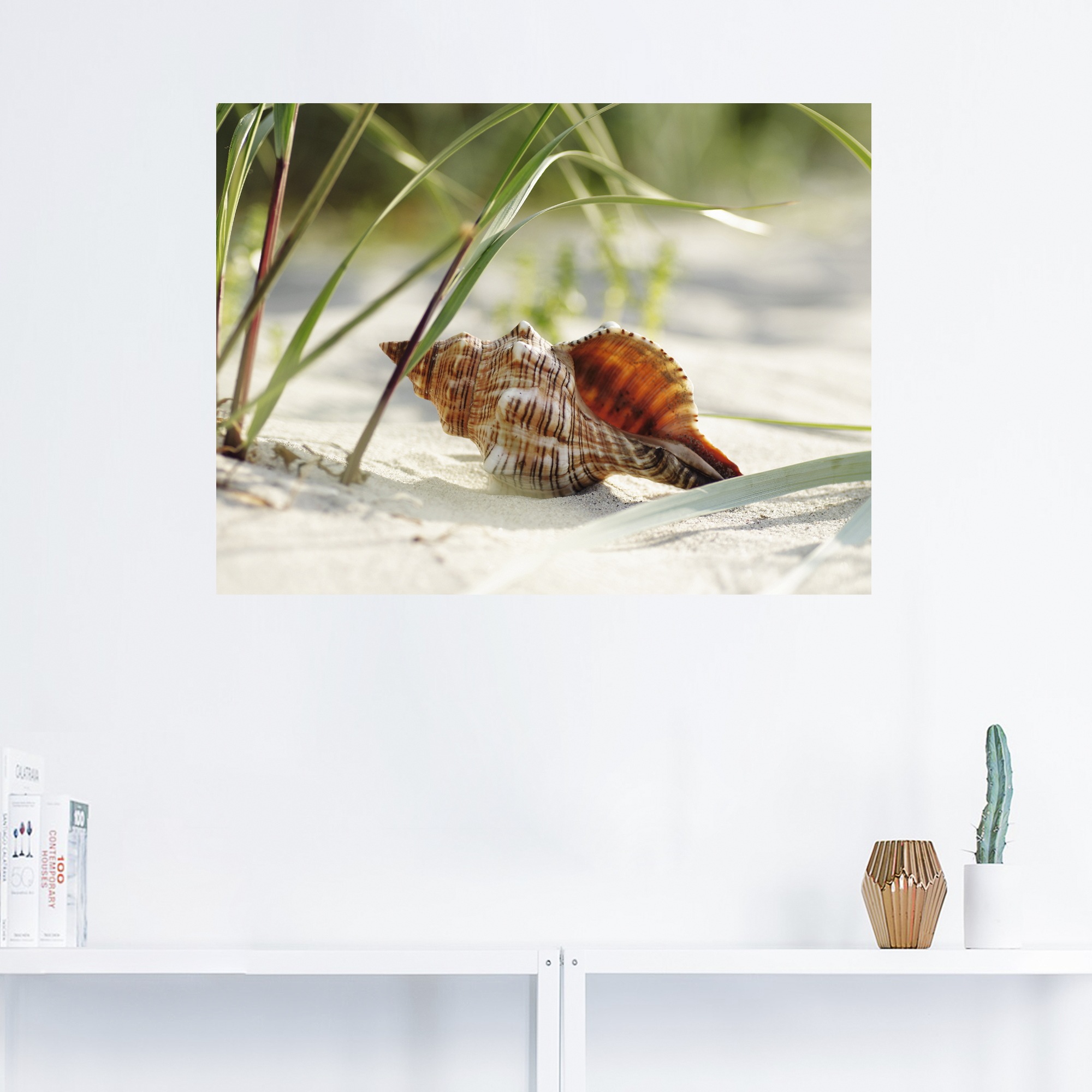 Artland Wandbild »Große Muschel am Strand«, Wassertiere, (1 St.), als  Leinwandbild, Wandaufkleber oder Poster in versch. Größen bestellen online  bei OTTO