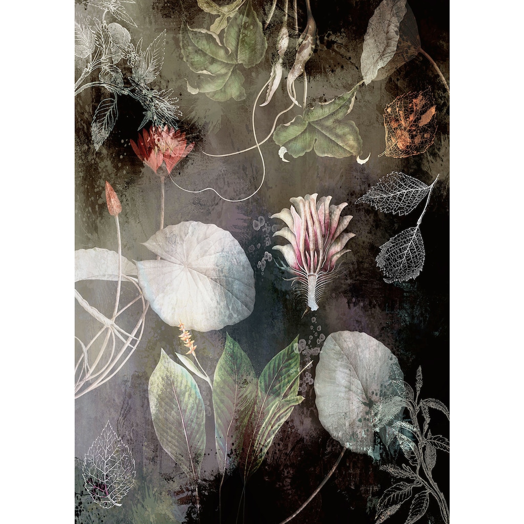 Komar Fototapete »Vliestapete Night Flowers«, bedruckt-geblümt-floral-realistisch, 200 x 280 cm