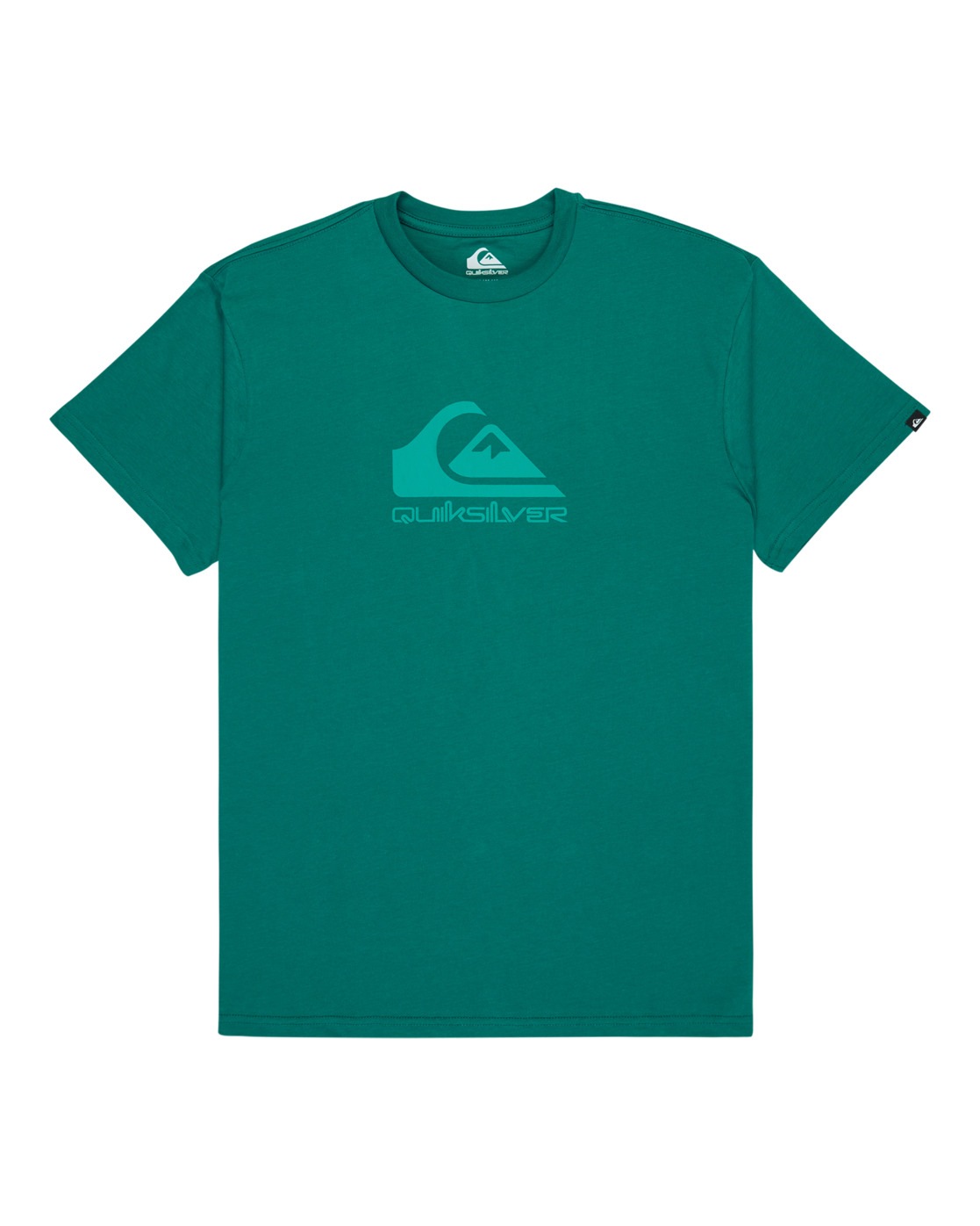 Quiksilver T-Shirt »EV Comp Logo 2024«