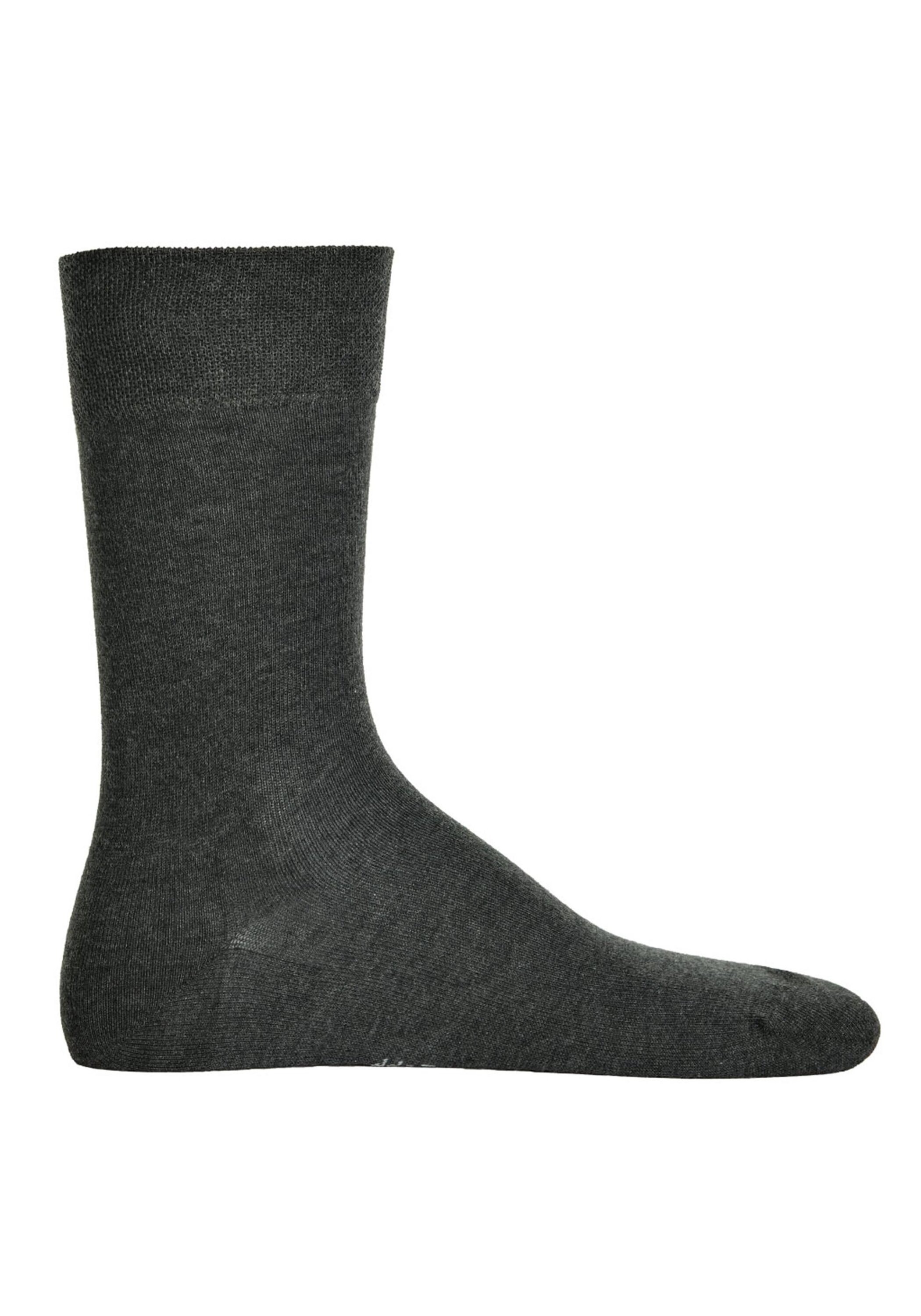 Hudson Kurzsocken »Socken 1er Pack«
