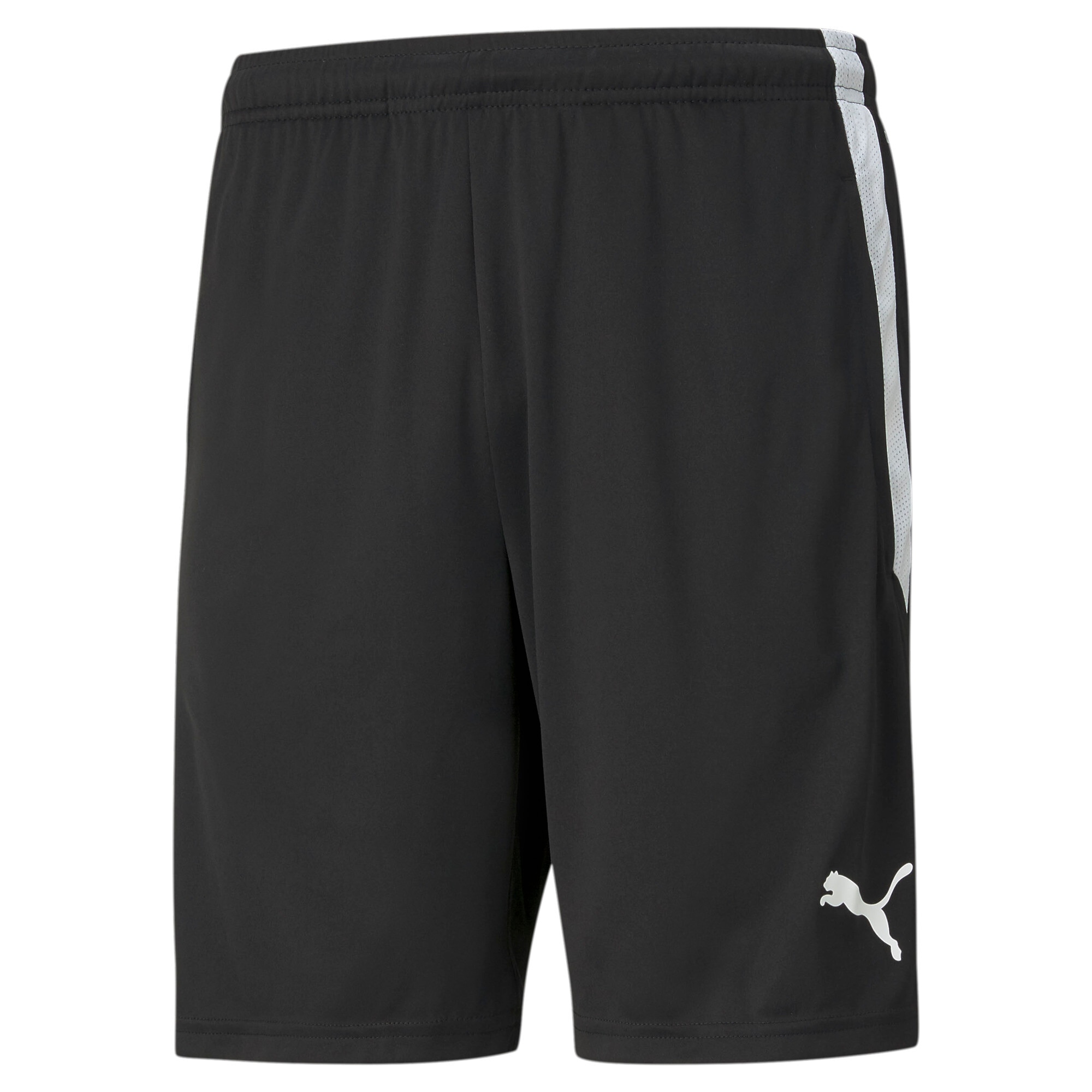 PUMA Trainingsshorts »TEAMLIGA TRAINING SHORTS«