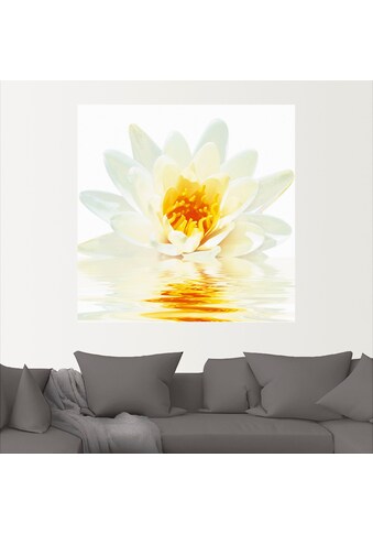 Artland Wandbild »Lotusblume schwimmt im Wasser«, Blumen, (1 St.), in vielen Größen &... kaufen