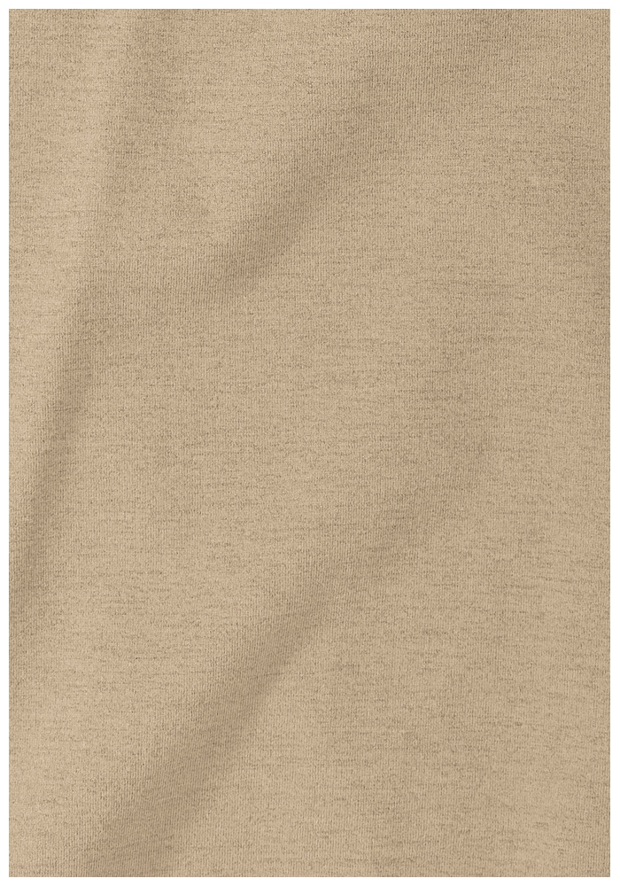 Jack Wolfskin T-Shirt »TRAVEL T M«