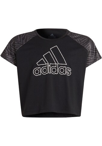 adidas Performance T-Shirt »DESIGNED 2 MOVE SEASONAL« kaufen
