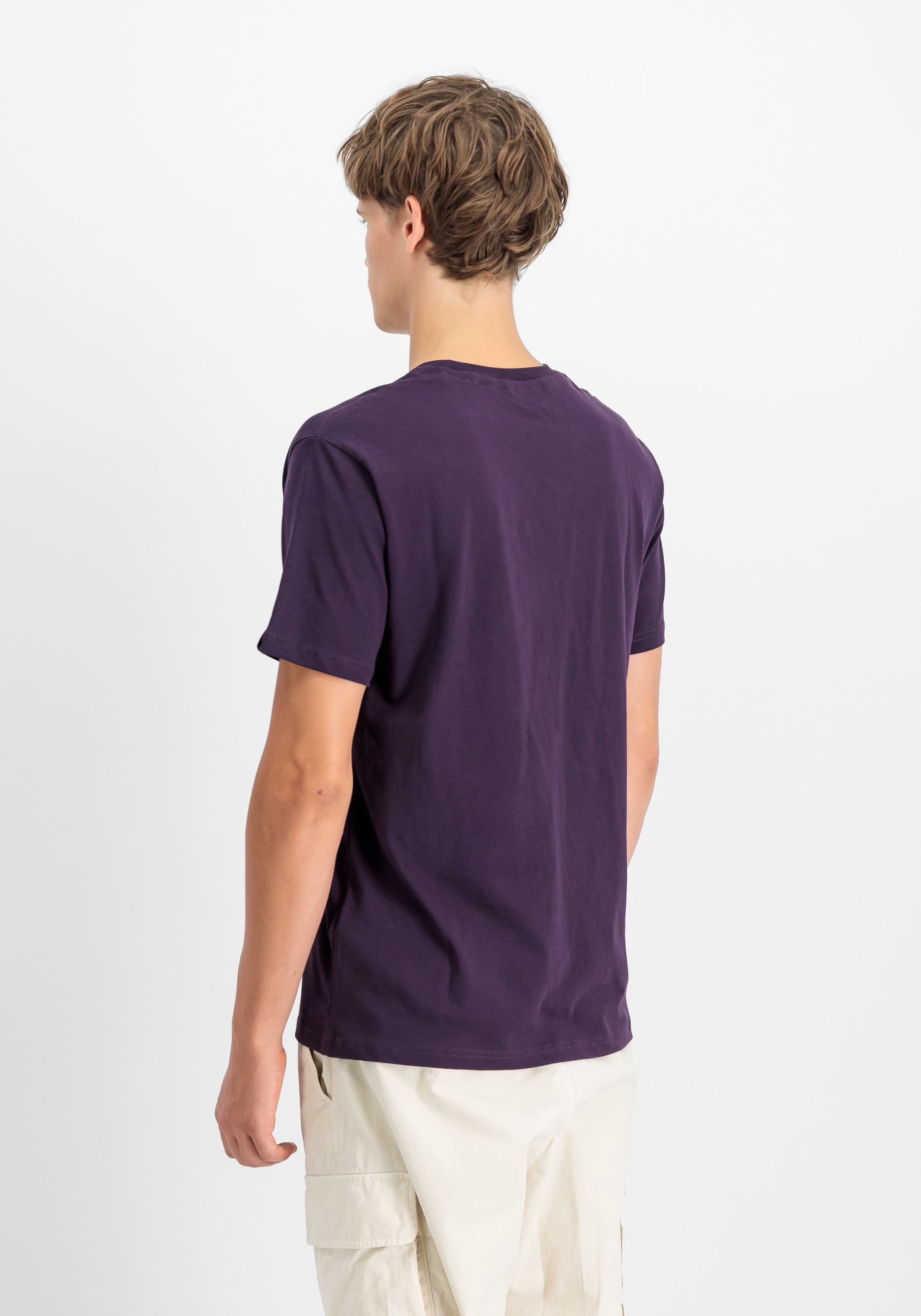 Alpha Industries T-Shirt »3D Small Logo T-Shirt T-Shirt«