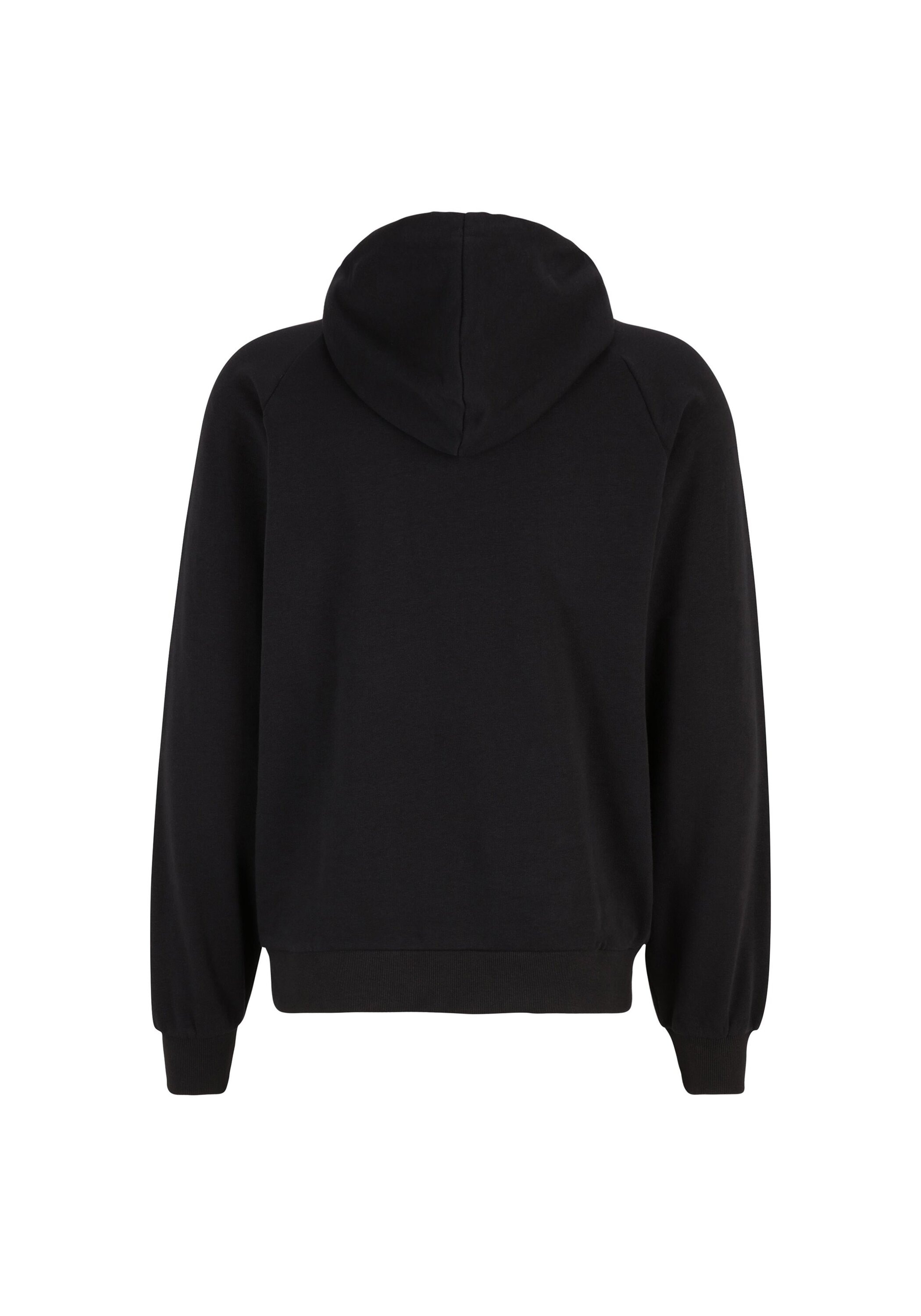 Fila Sweatshirt »Sweatshirt BRAIVES raglan hoody«