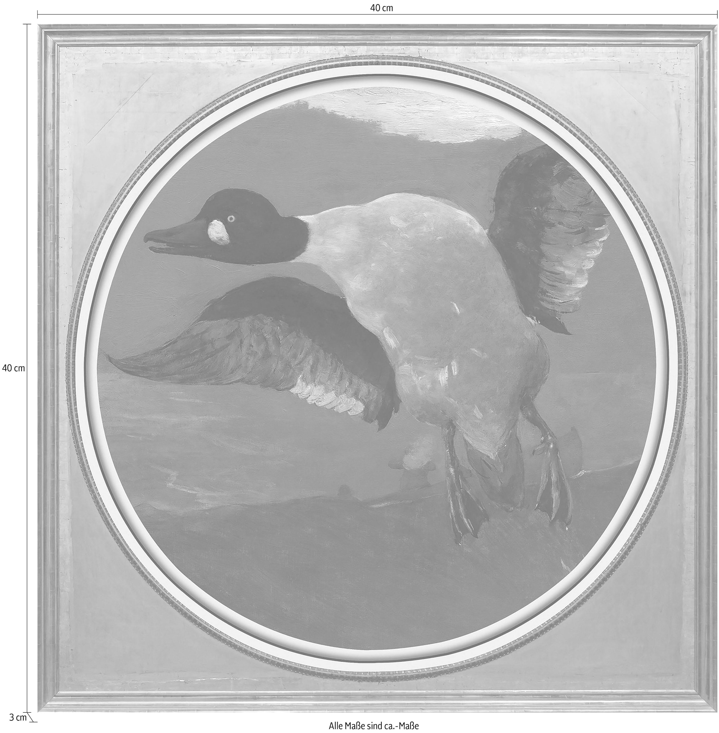 queence Acrylglasbild »Gans« Ente | Enten | Gemälde | Kunst | Vogelbilder | Vögel Fine Art-Print in Galeriequalität